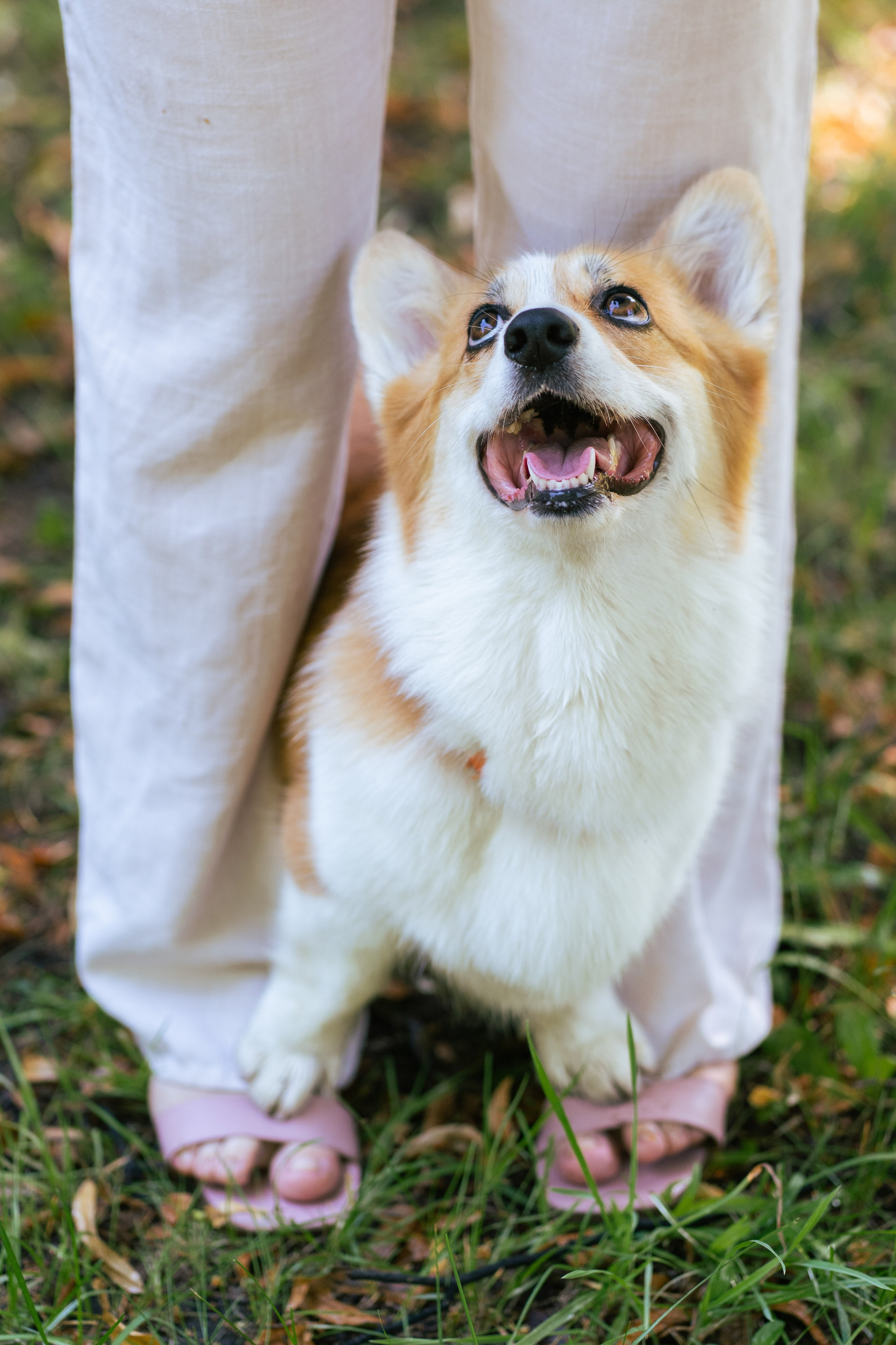 Ольга и коржики. Свадебный фотограф в Москве Анна Полушина