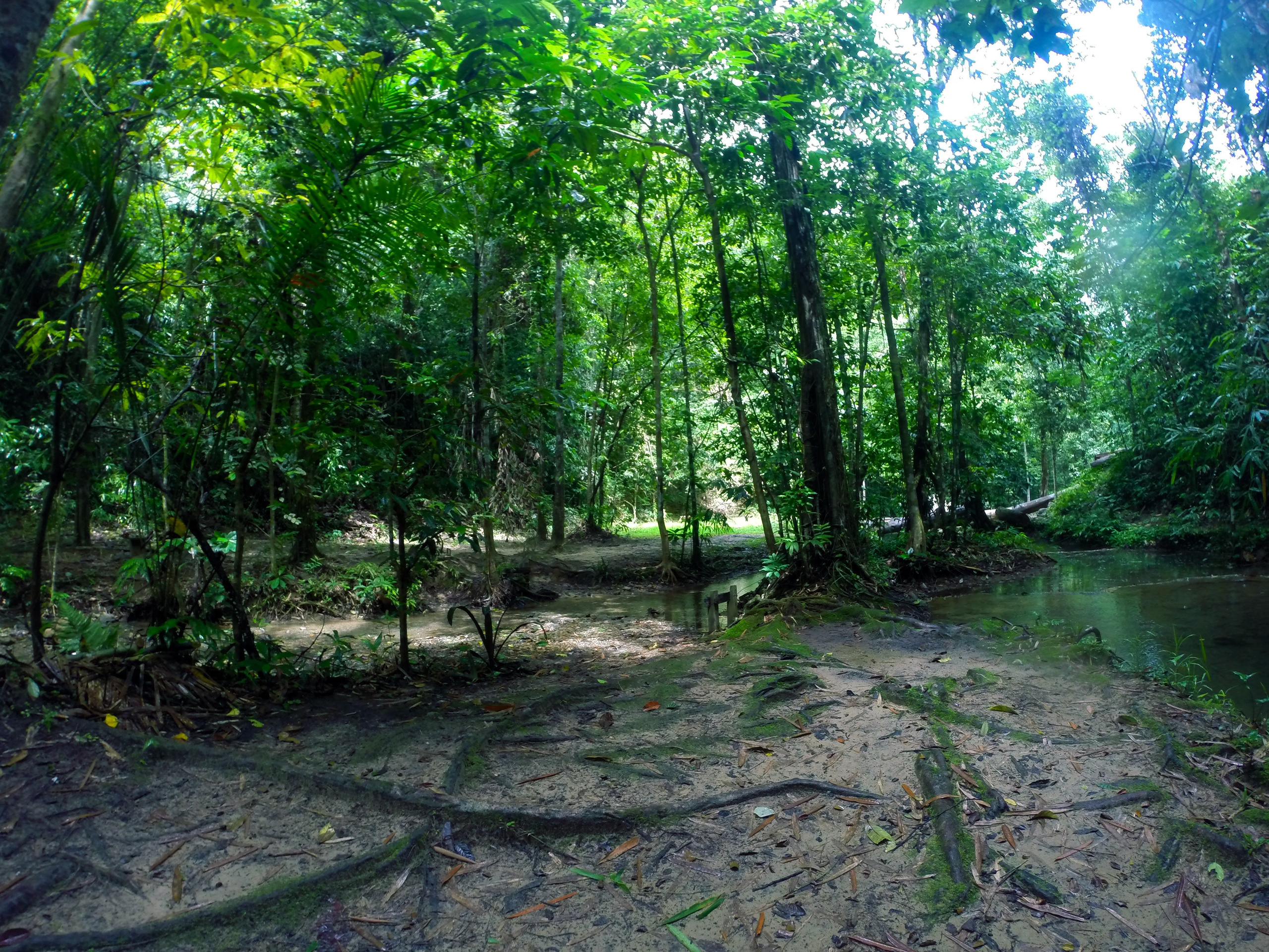 Пхукет. Фотограф Алексей Федорищев