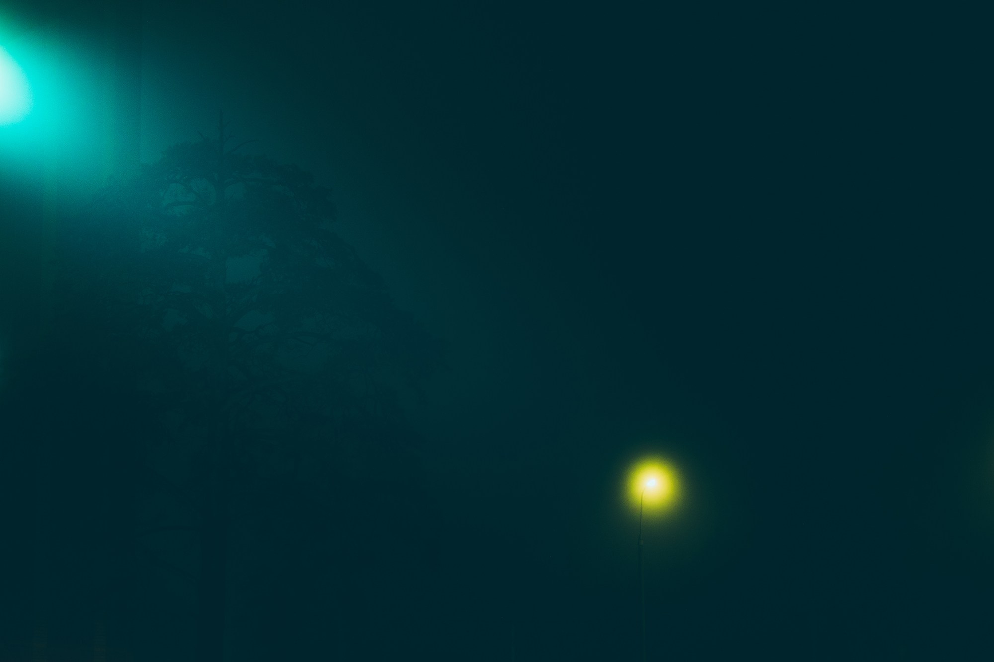 Попкова Виктория, фотограф, пейзаж, ночь, vphoto, фотокартины, природа, фотография