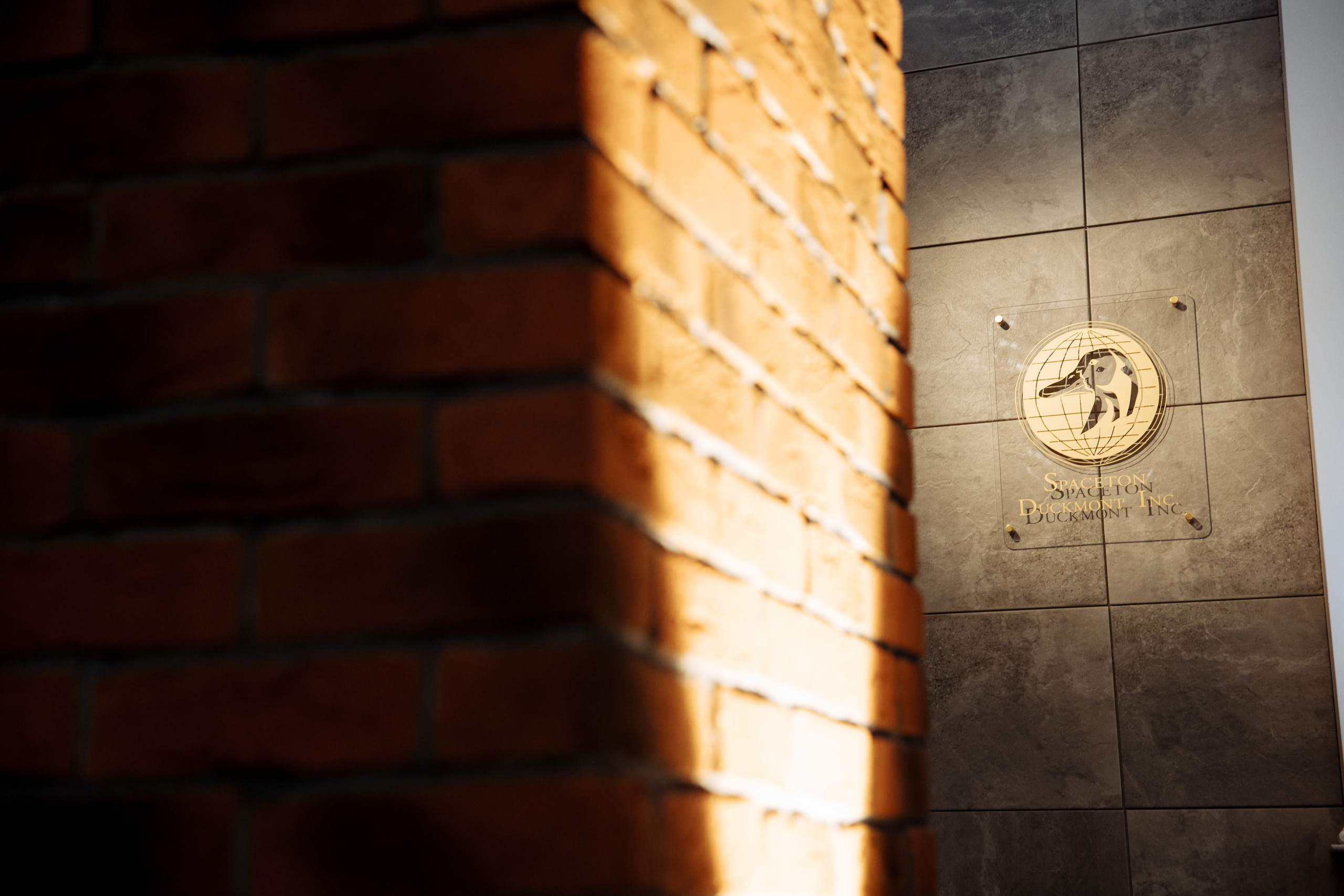 IT. Свадебный фотограф в Санкт-Петербурге Александр Пащенко