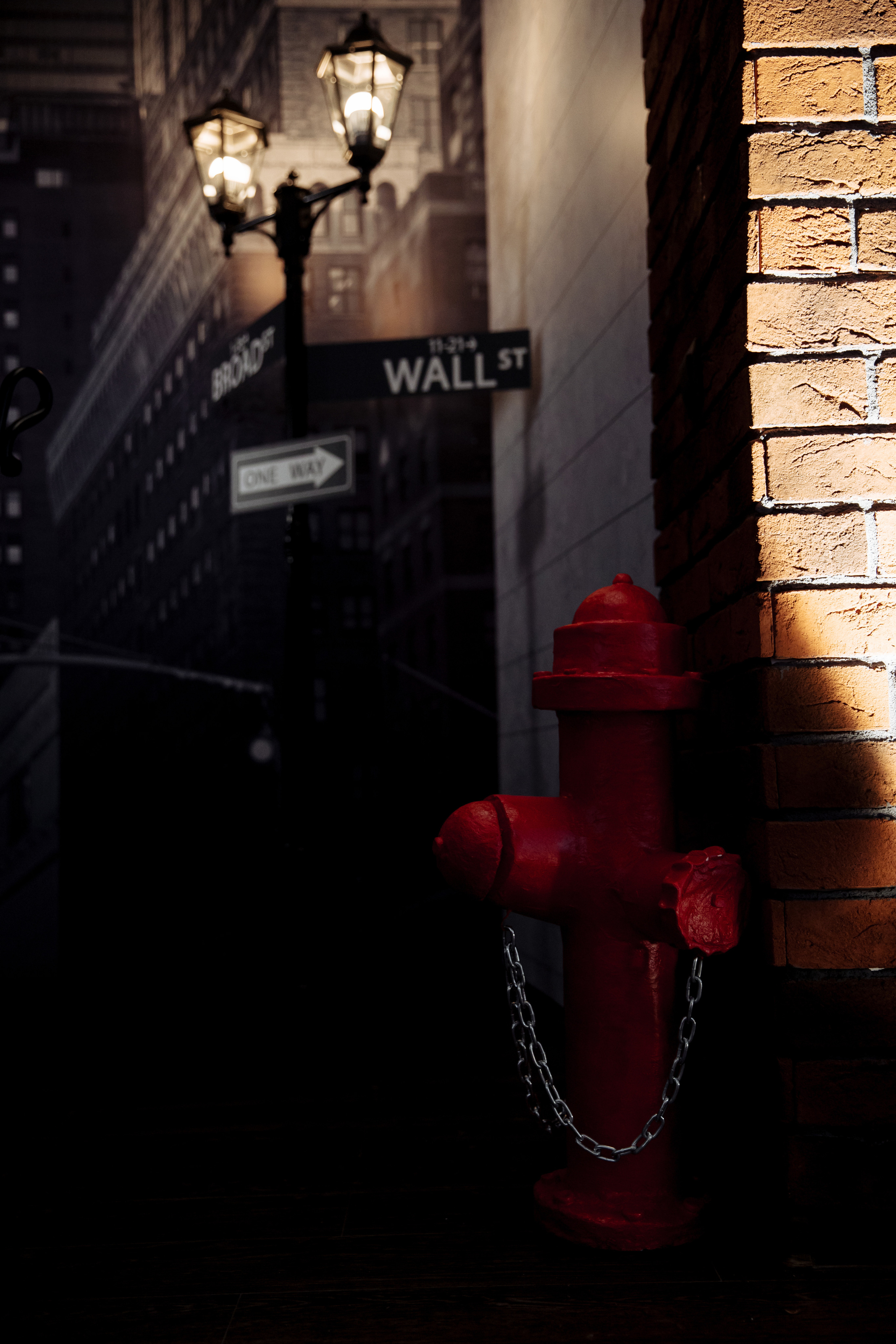 IT. Свадебный фотограф в Санкт-Петербурге Александр Пащенко