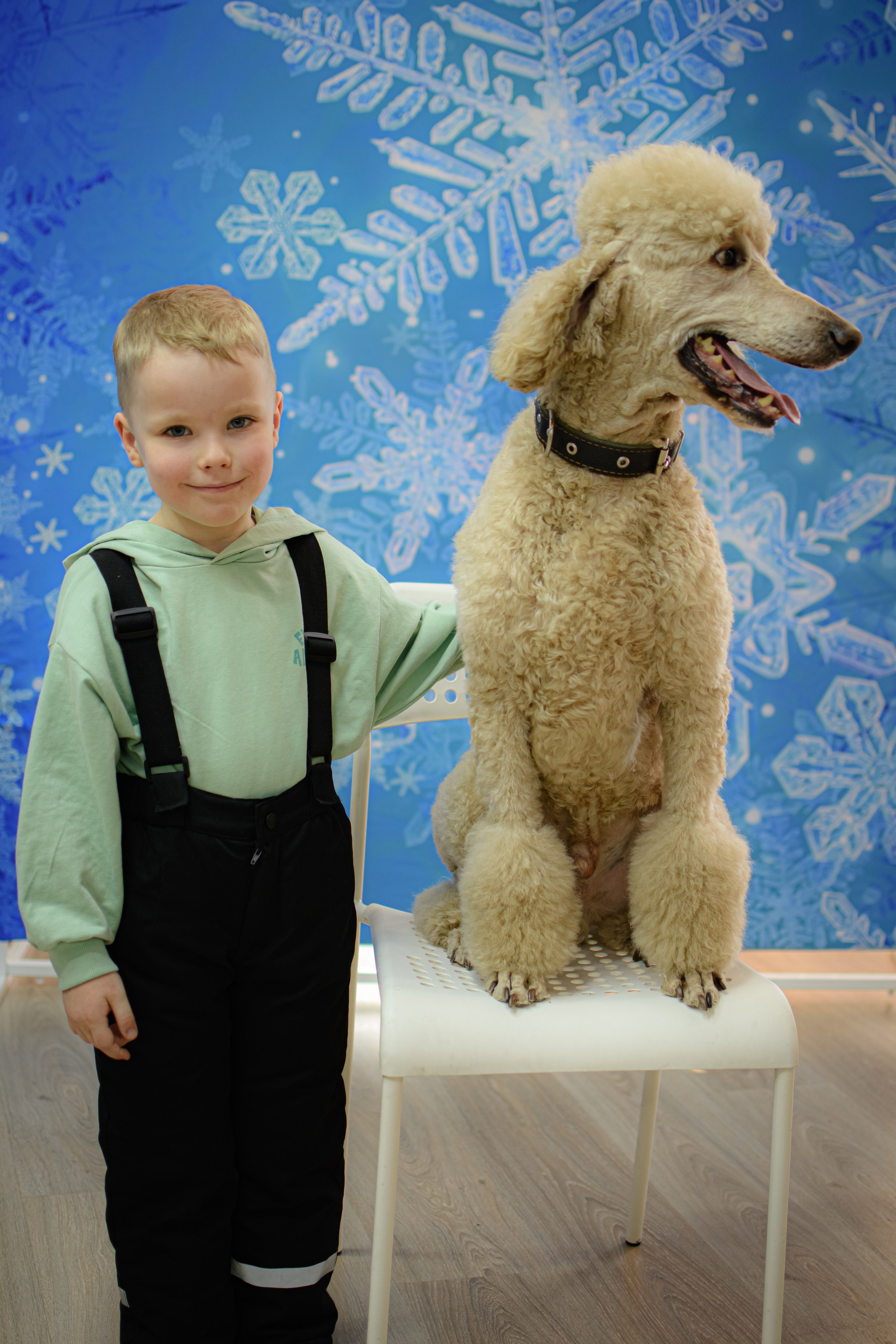 HAPPY NEW YEAR. Photokarish