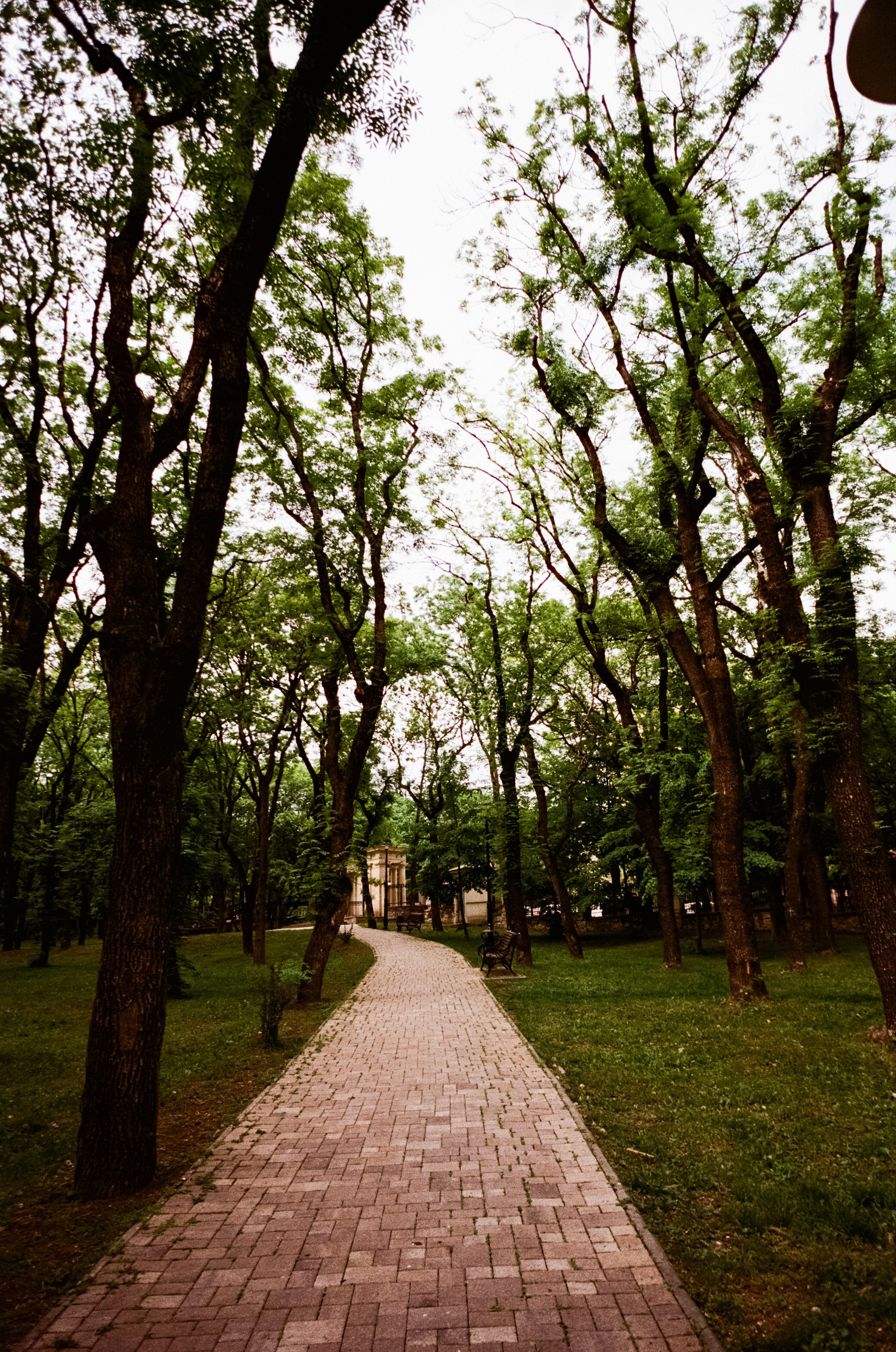 Ессентуки / Voigtlander BESSA-T / Fujifilm X-tra 400 (просрочка)