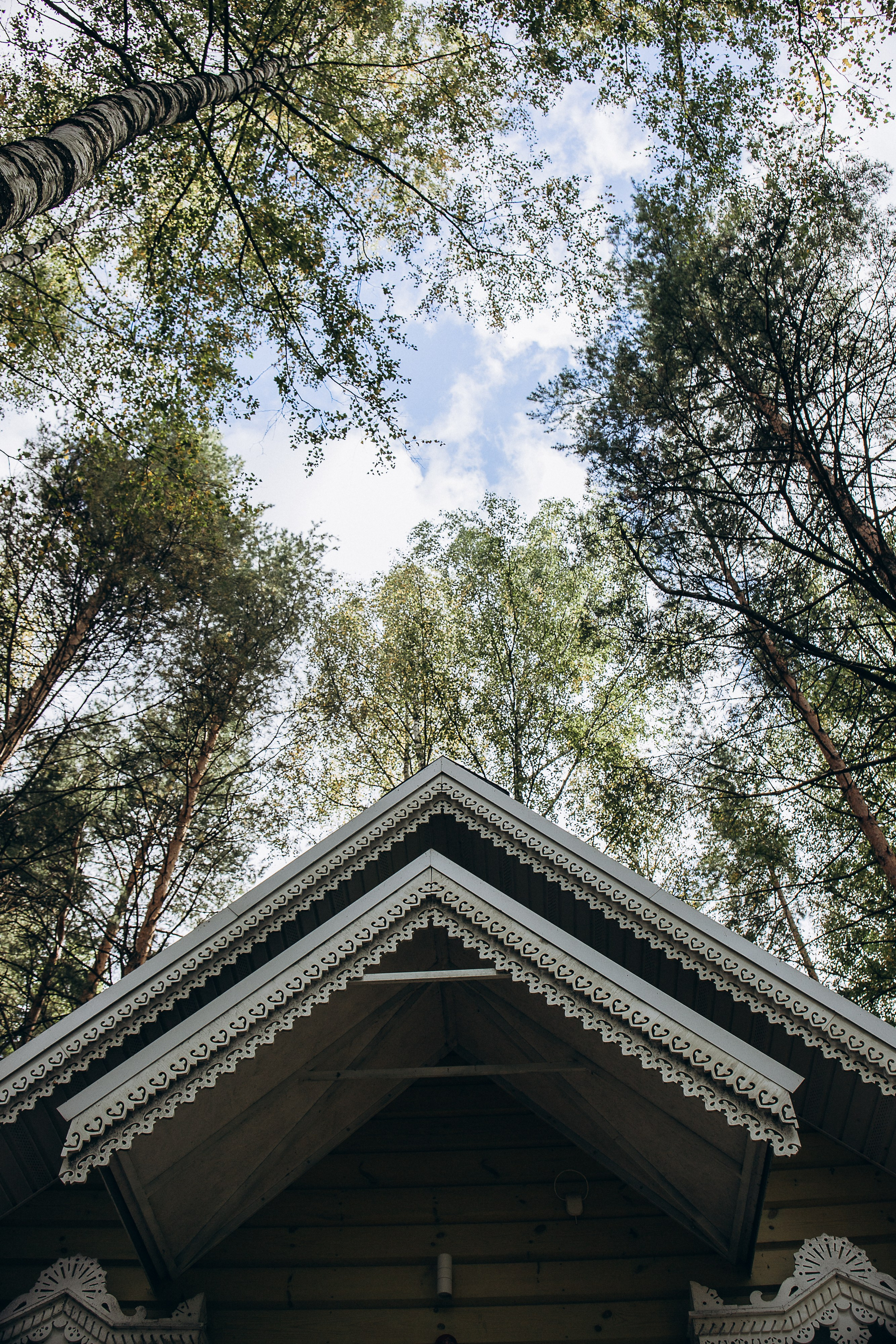 N&N. Фотограф Ярославль|Кострома|Нерехта Гундерина Светлана