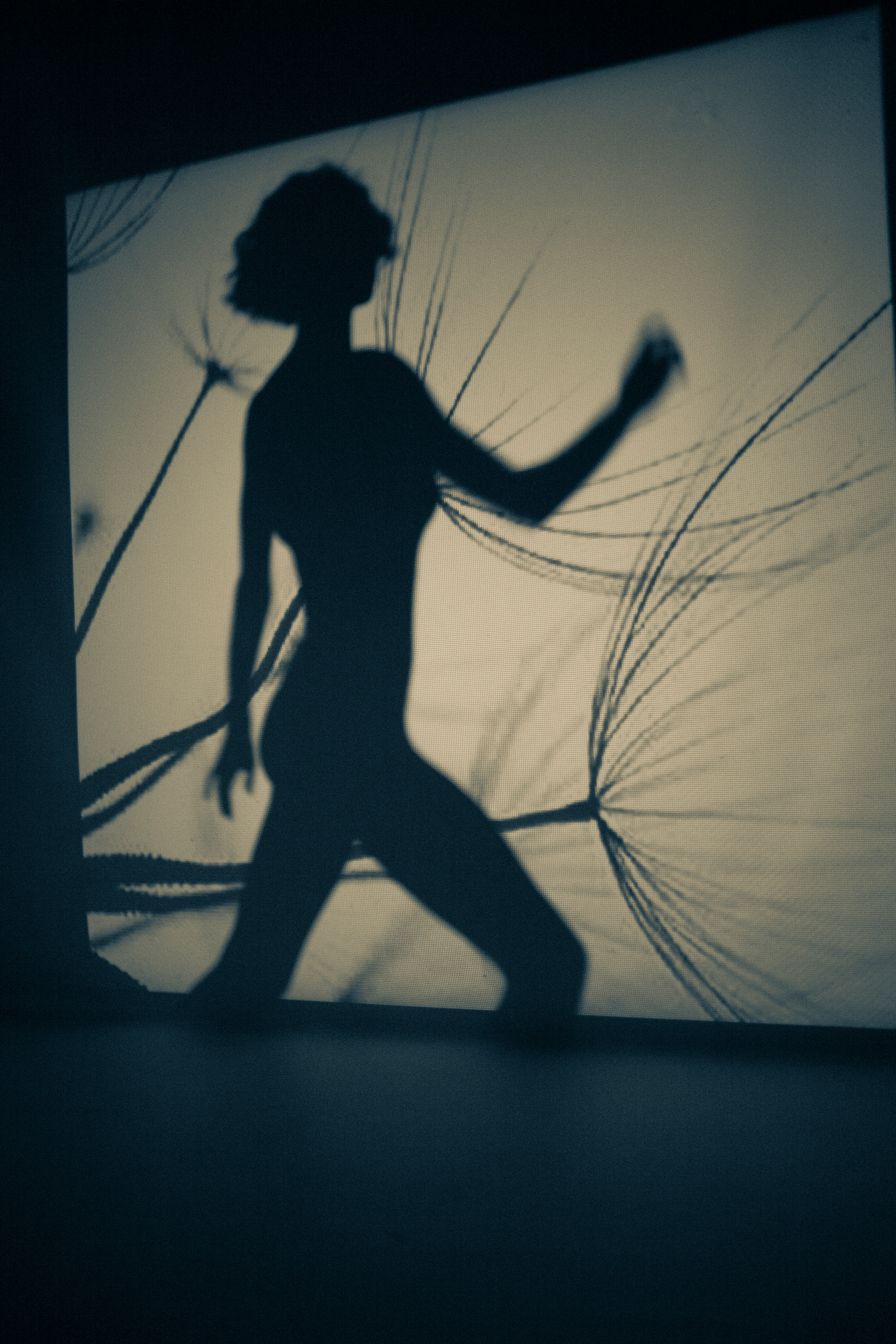 Проектор. Фотограф в Туле Шапка Полина