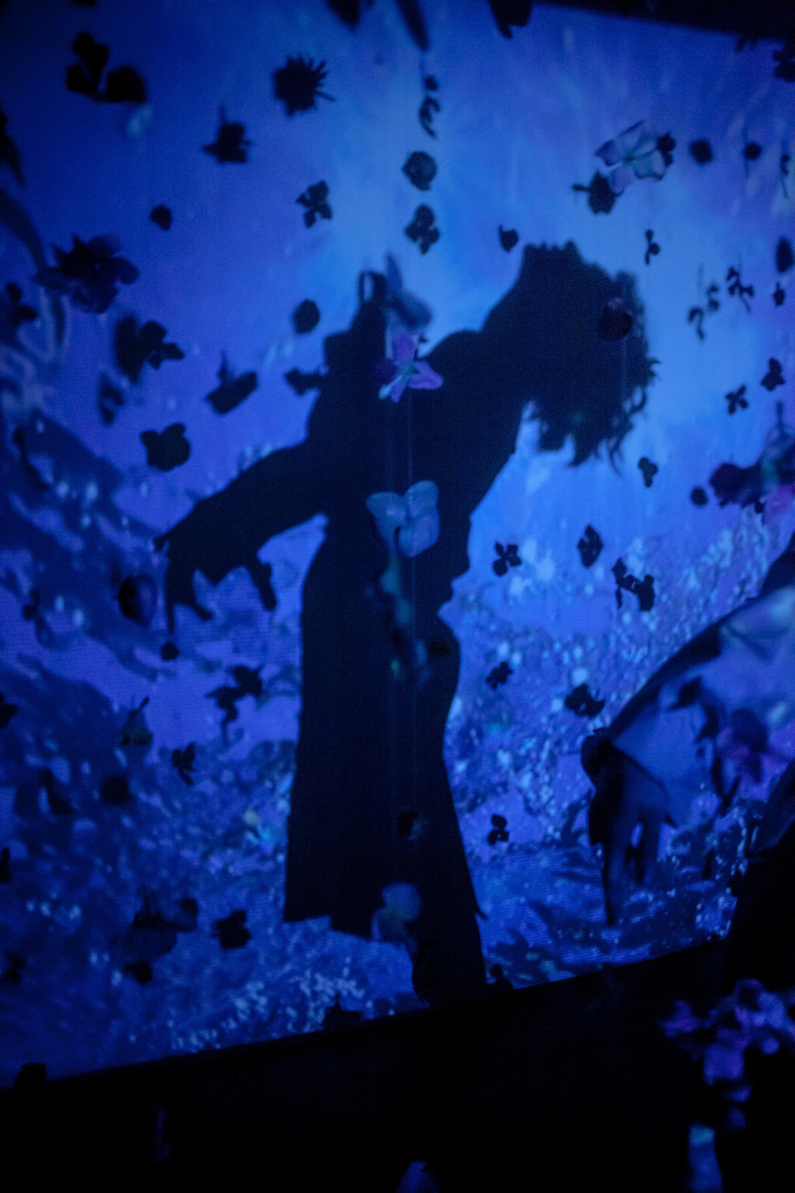 Проектор. Фотограф в Туле Шапка Полина