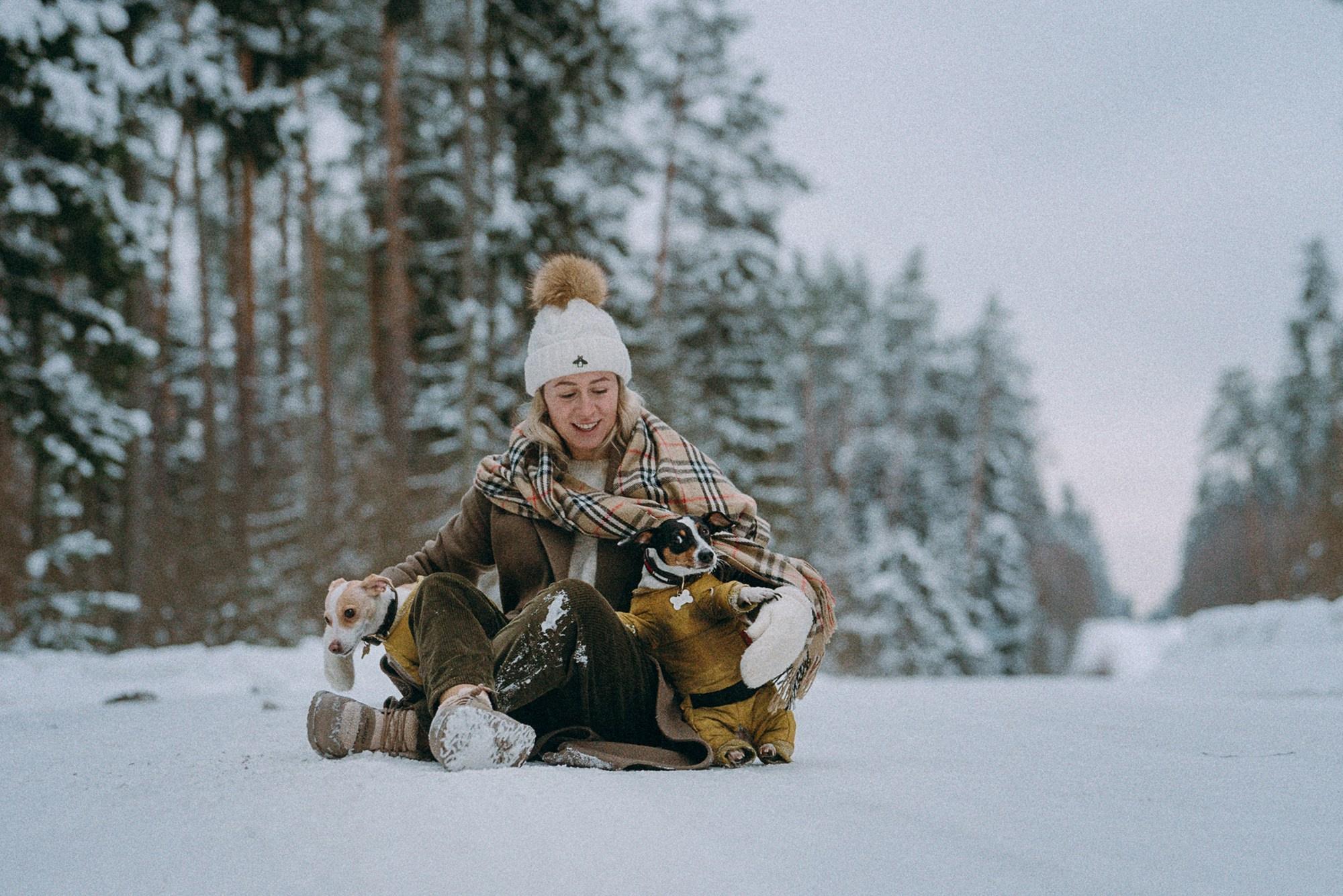 Алина, Ваниль и Элис. Фотограф анималист в Москве и Санкт-Петербурге Свиридова Анна