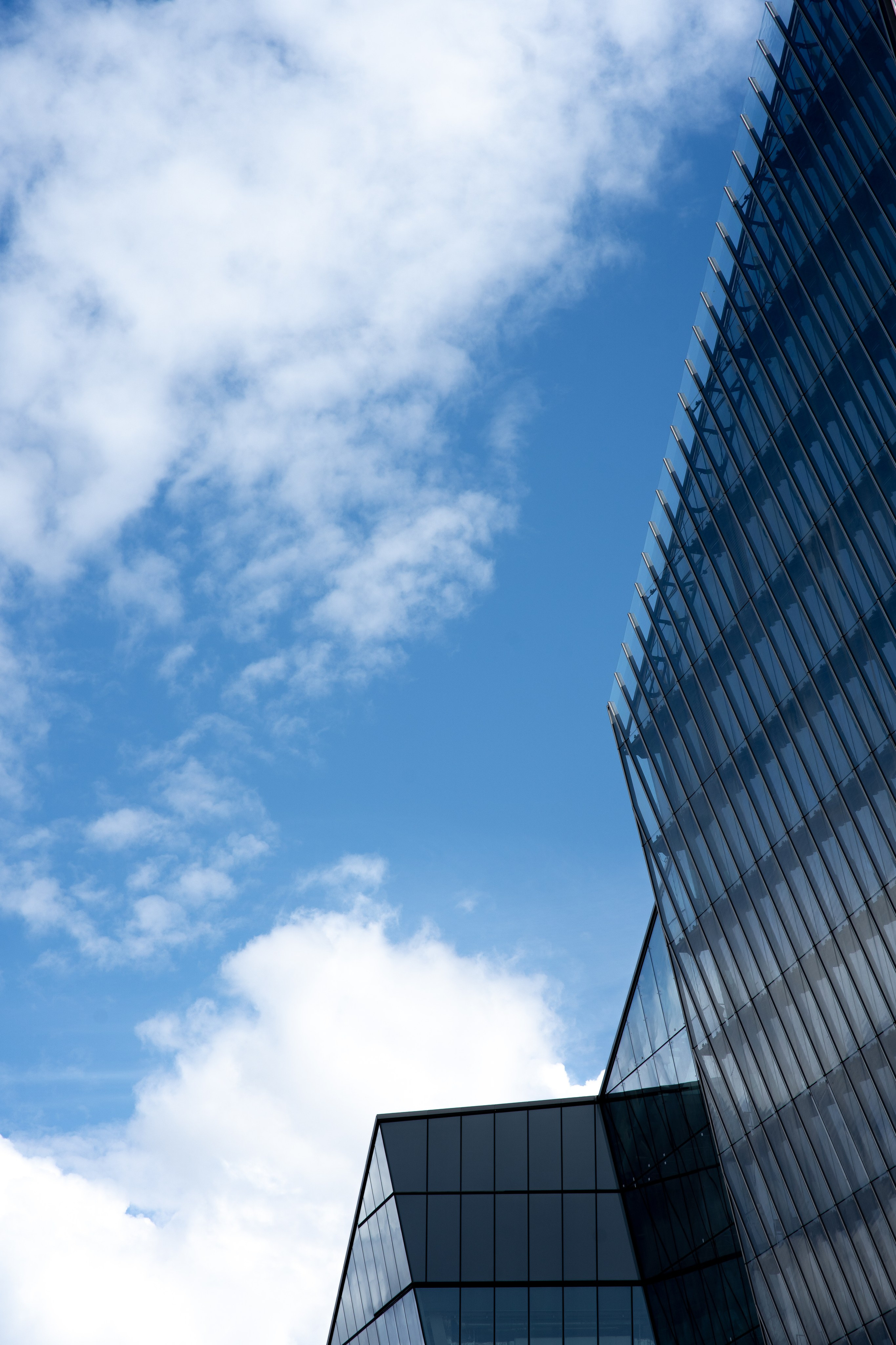 ЦВЕТНЫЕ ФОТОГРАФИИ. Никита Аничкин фото и видео оператор из России