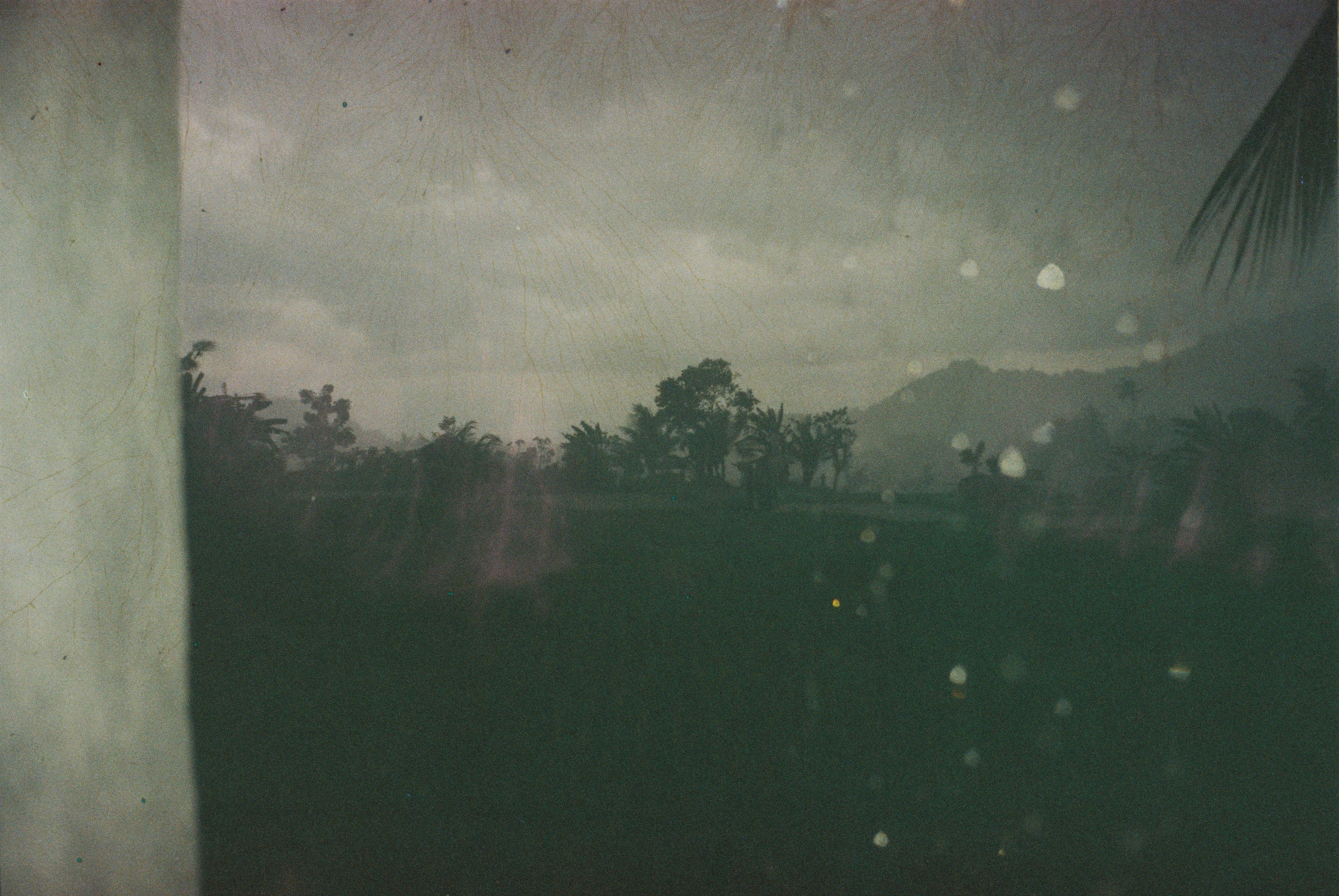 SWASTIASTU. Сocoobird || Атмосфера твоего бренда в снимках и видео