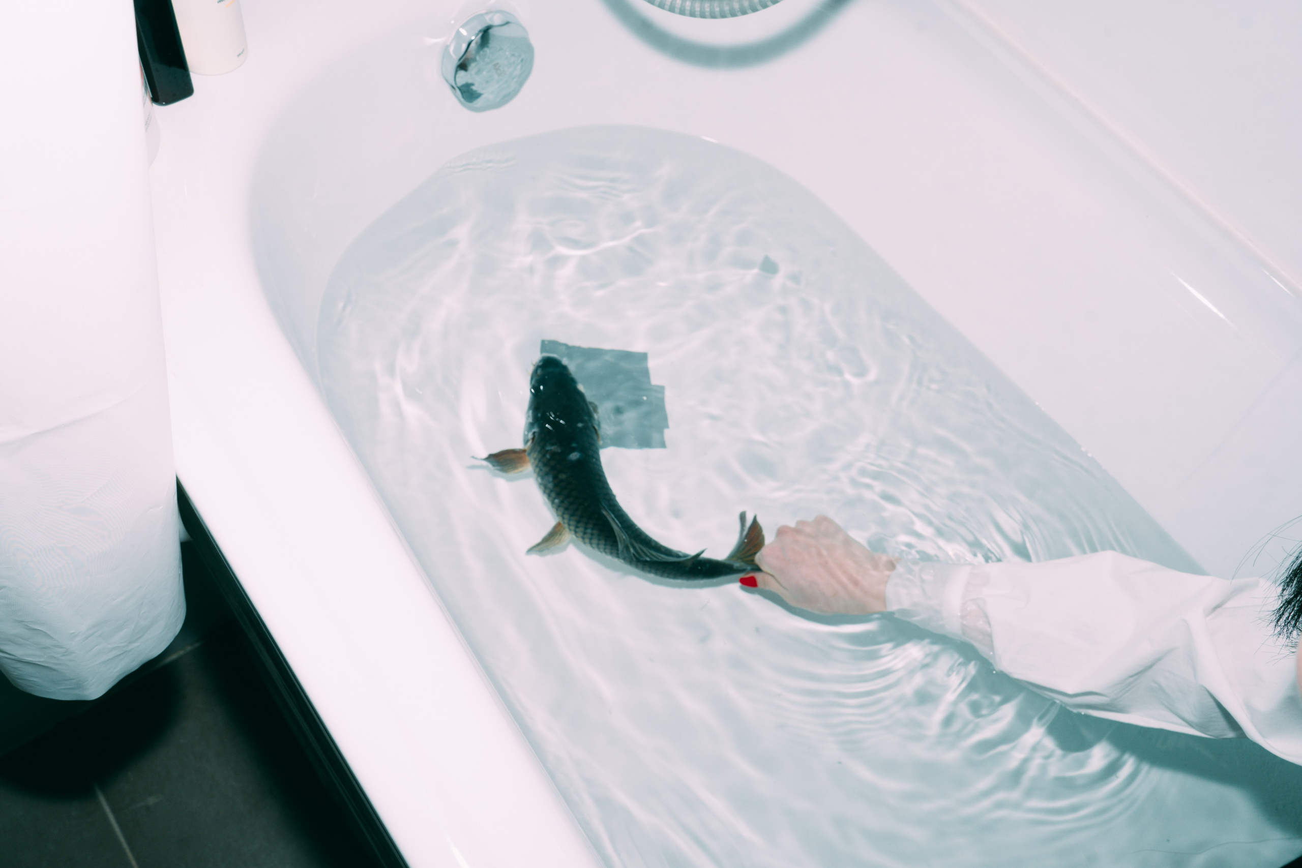 Carp Grisha. Sasha Speranskii — Conceptual Photographer | Based in Moscow