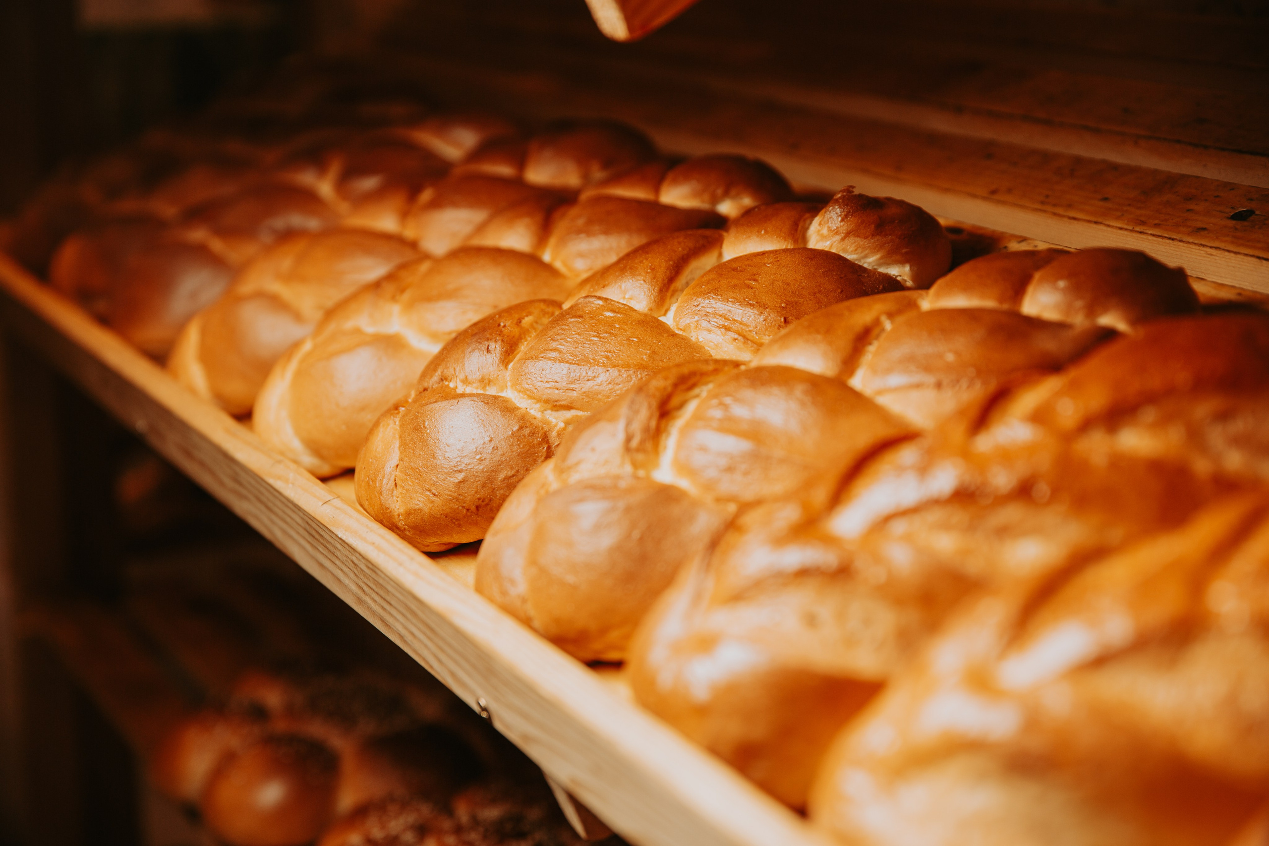 Пекарня Семейная. Свадебный и репортажный фотограф в Ярославле Евгений Шовдин