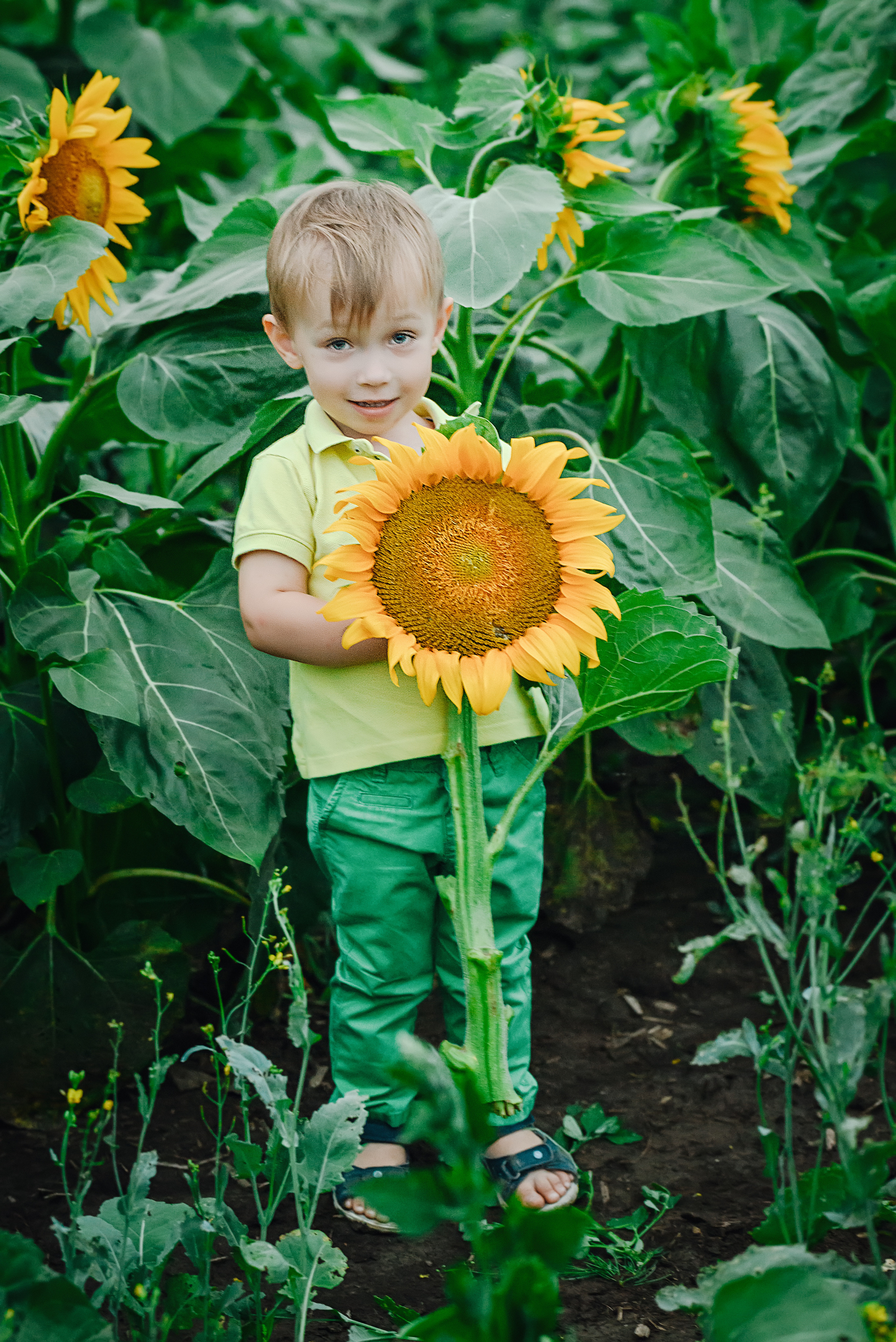 Яна Женя Миша. Семейный и детский фотограф в Туле
