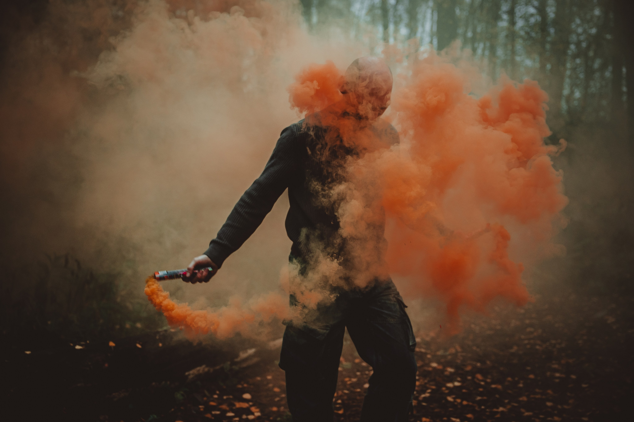 История о Фыре и Фыре. Семейный и детский фотограф в Королеве, Москве и Московской области Строева Анастасия