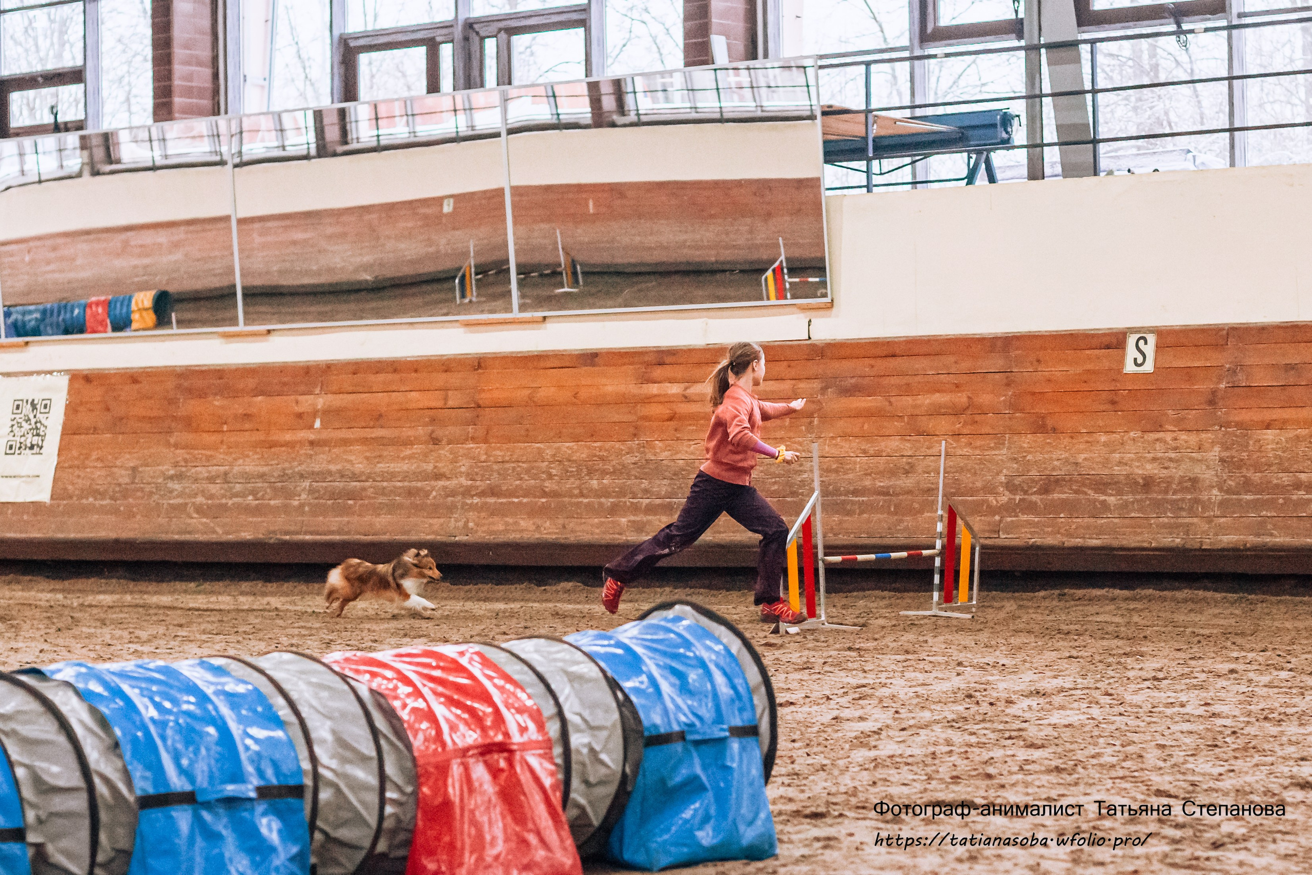 Соревнования по Аджилити 25.02.2024. Фотограф-анималист Татьяна Степанова