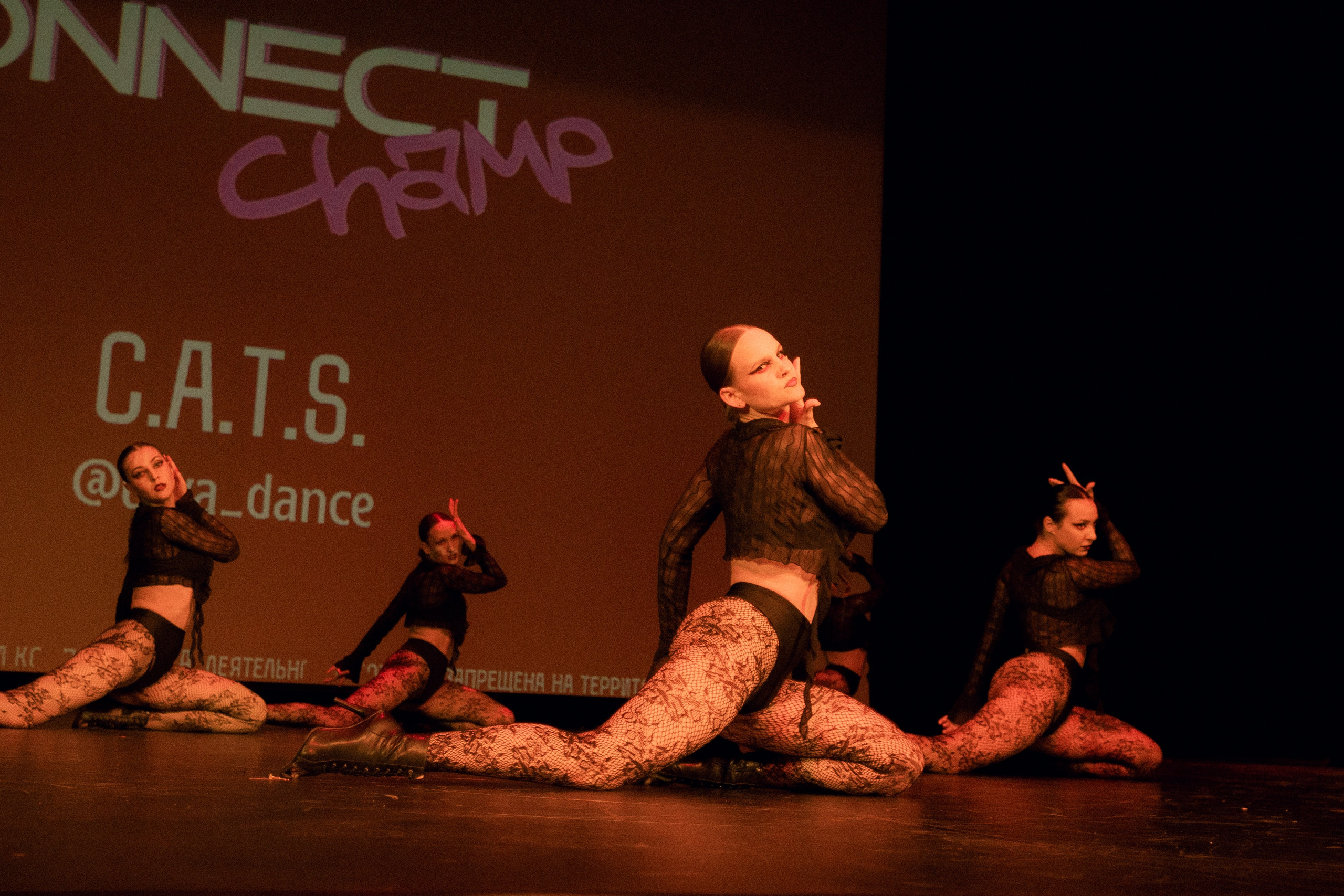 Connect. Фотограф, Видеограф Новосибирск