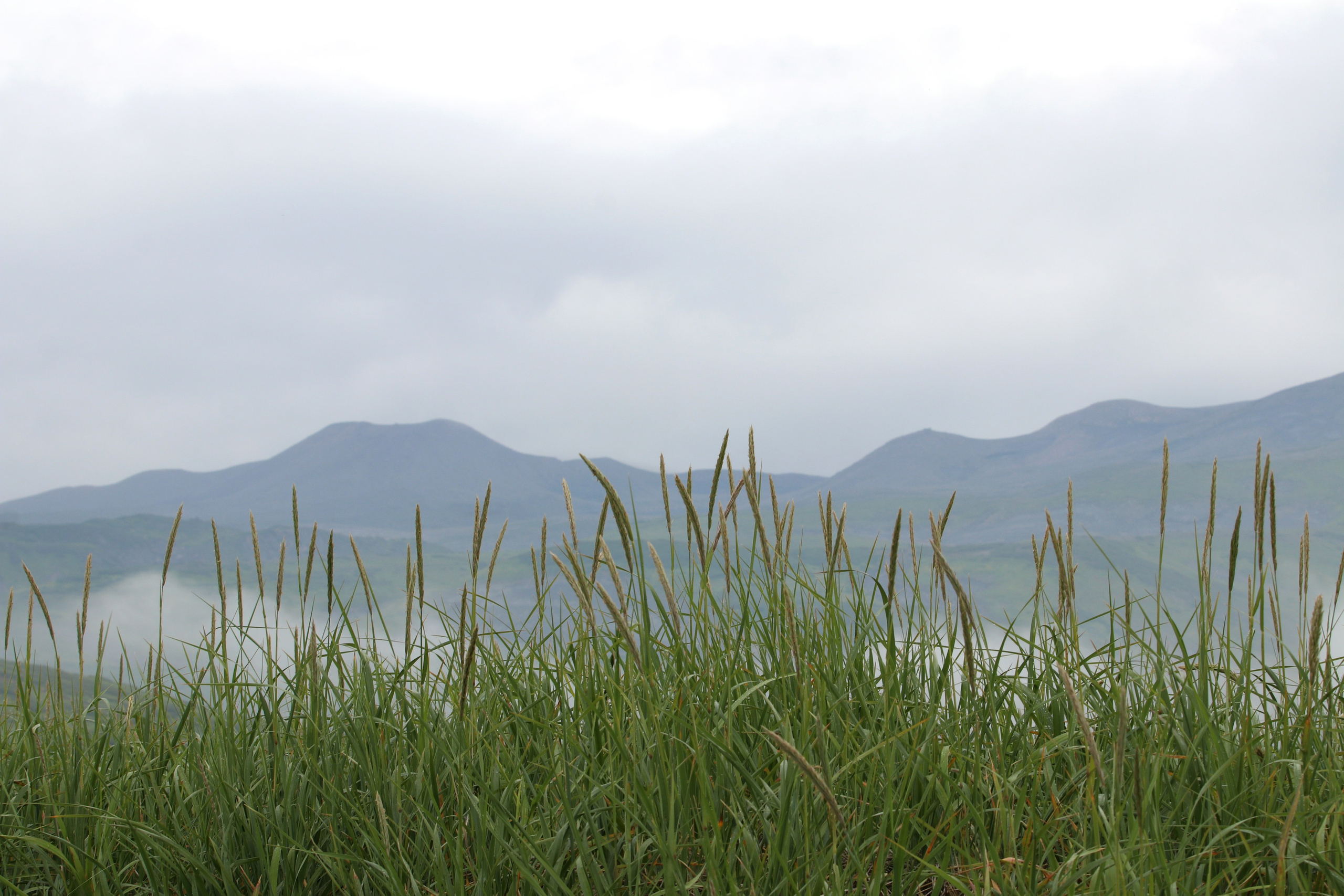 Камчатка и о. Парамушир. Июль 2024. Путешественник-фотограф из Санкт-Петербурга Татьяна Свистулина