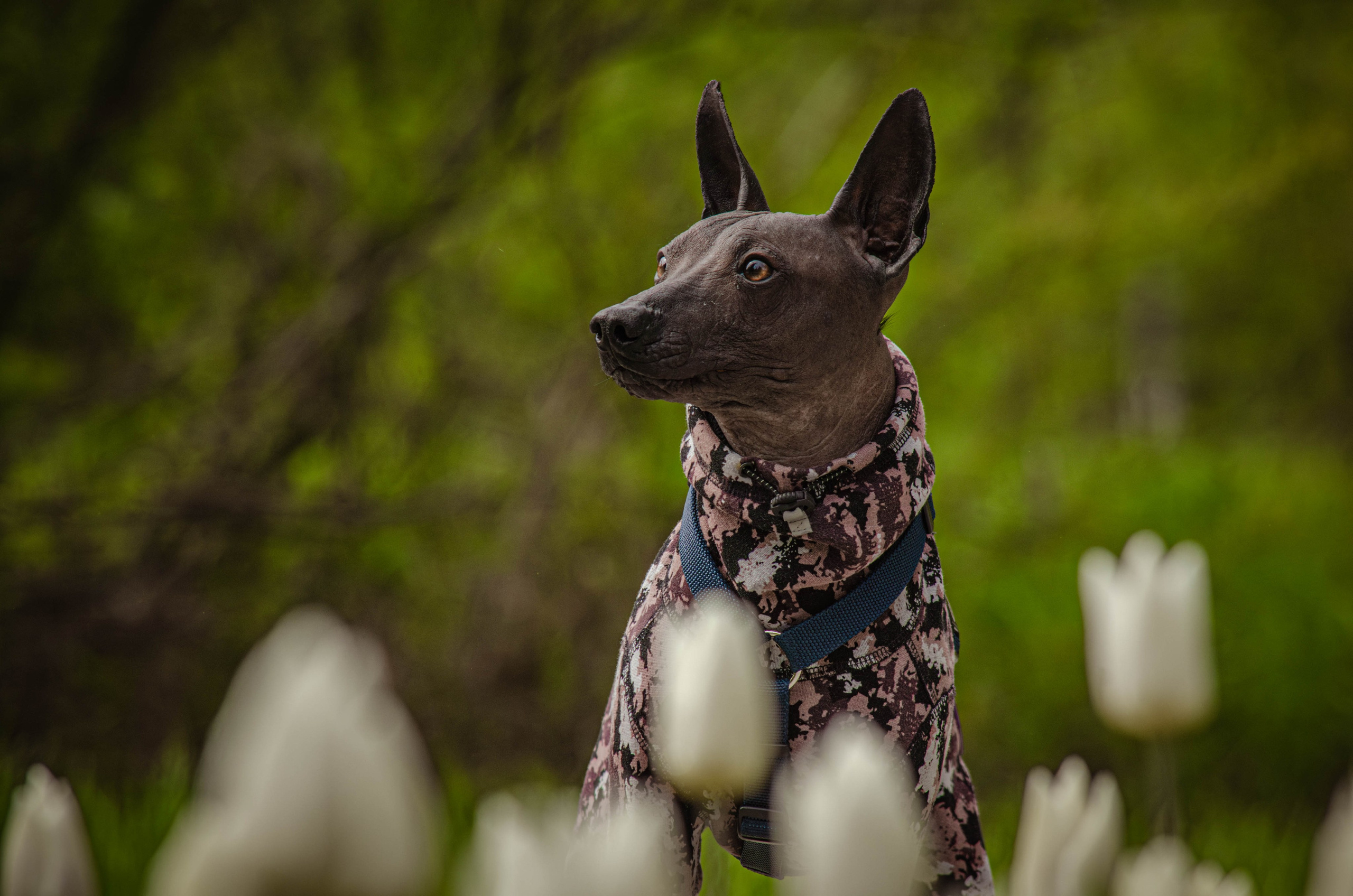 Сёма. Фотограф Светлана Блинова, Москва и Московская область