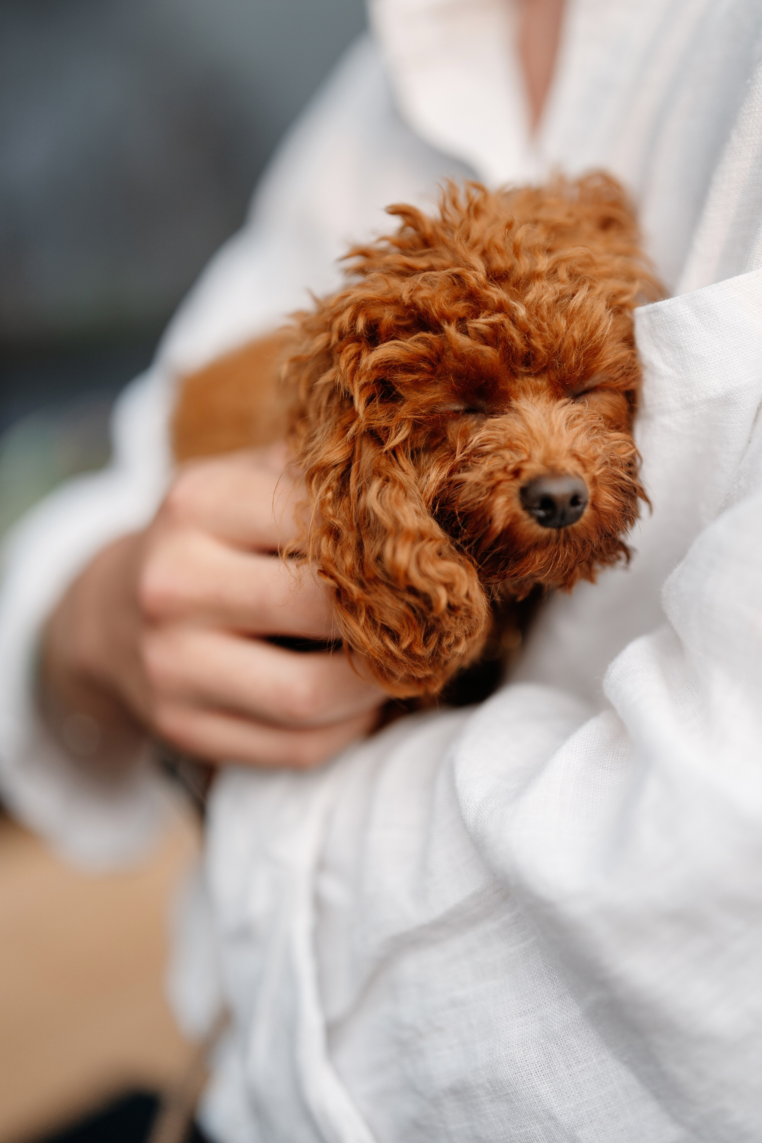 ХАКАТОН’S. Свадебный и репортажный фотограф в Москве Андрей Вайман