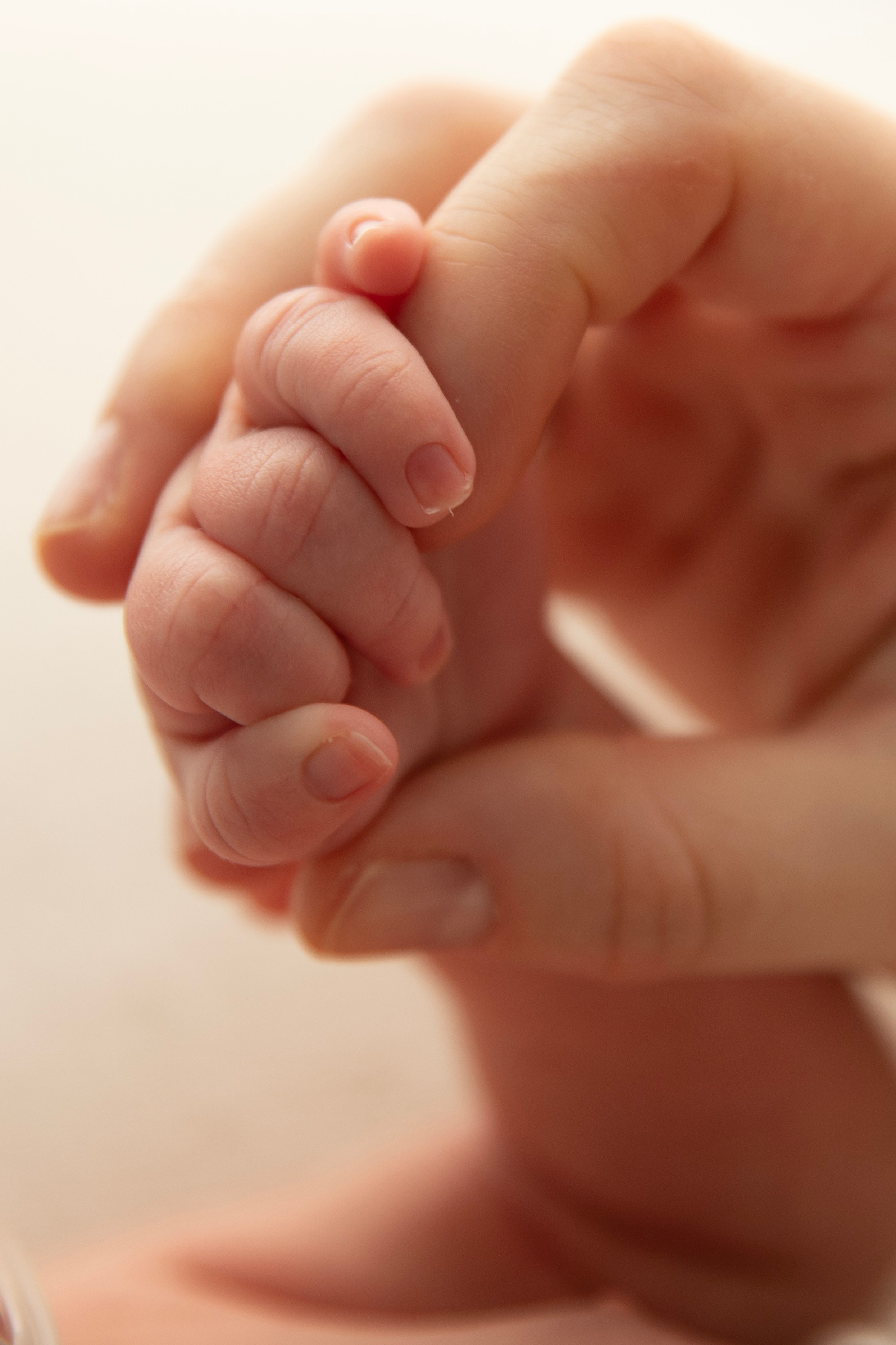 «Фотографии новорожденных малышей " «Фотосессия новорожденных». Фотограф новорожденных, детский фотограф  Москва.Семейная съемка Москва. Семенова Анна