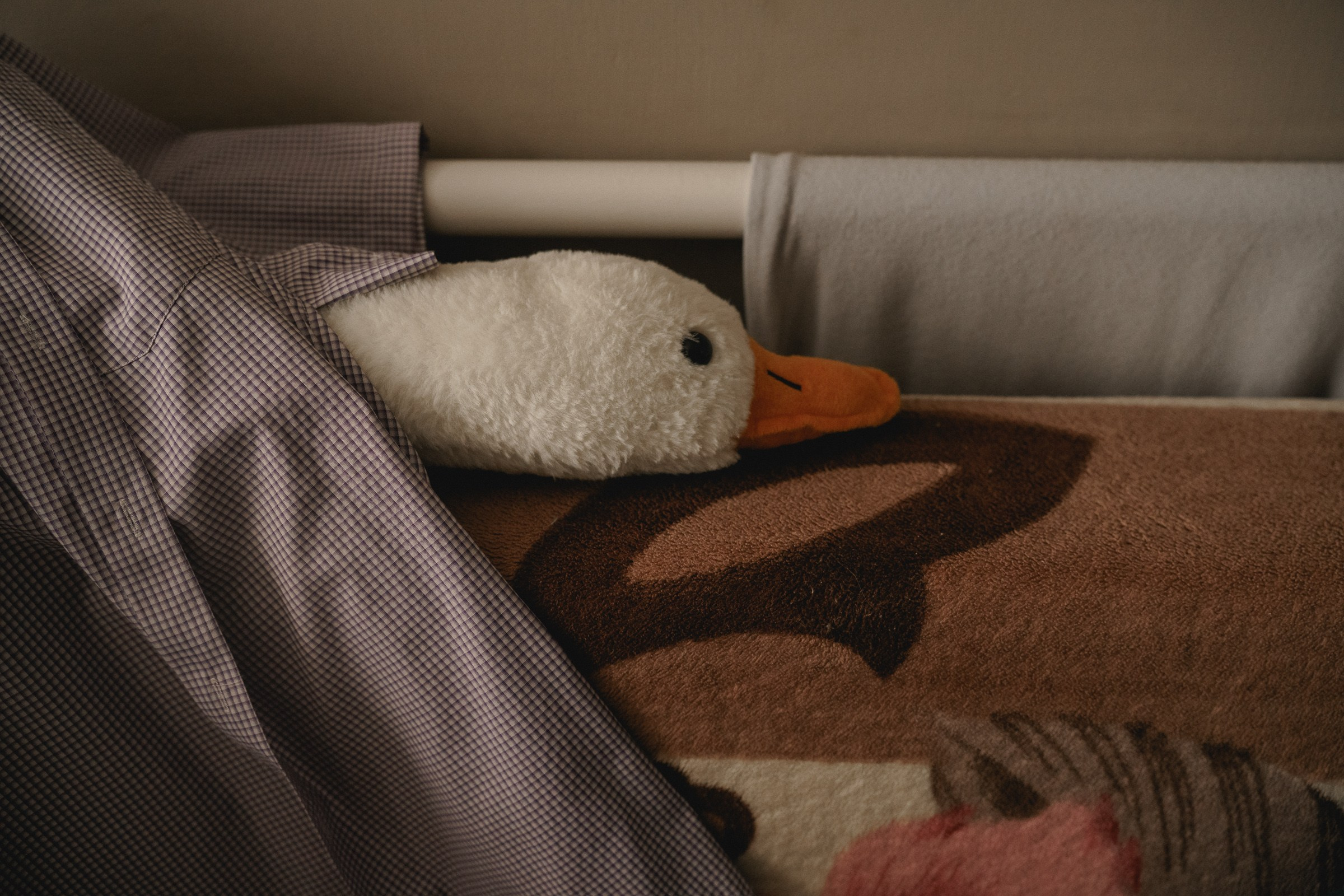 Не один дома…. Свадебный и семейный фотограф в Абакане Василевский Алексей