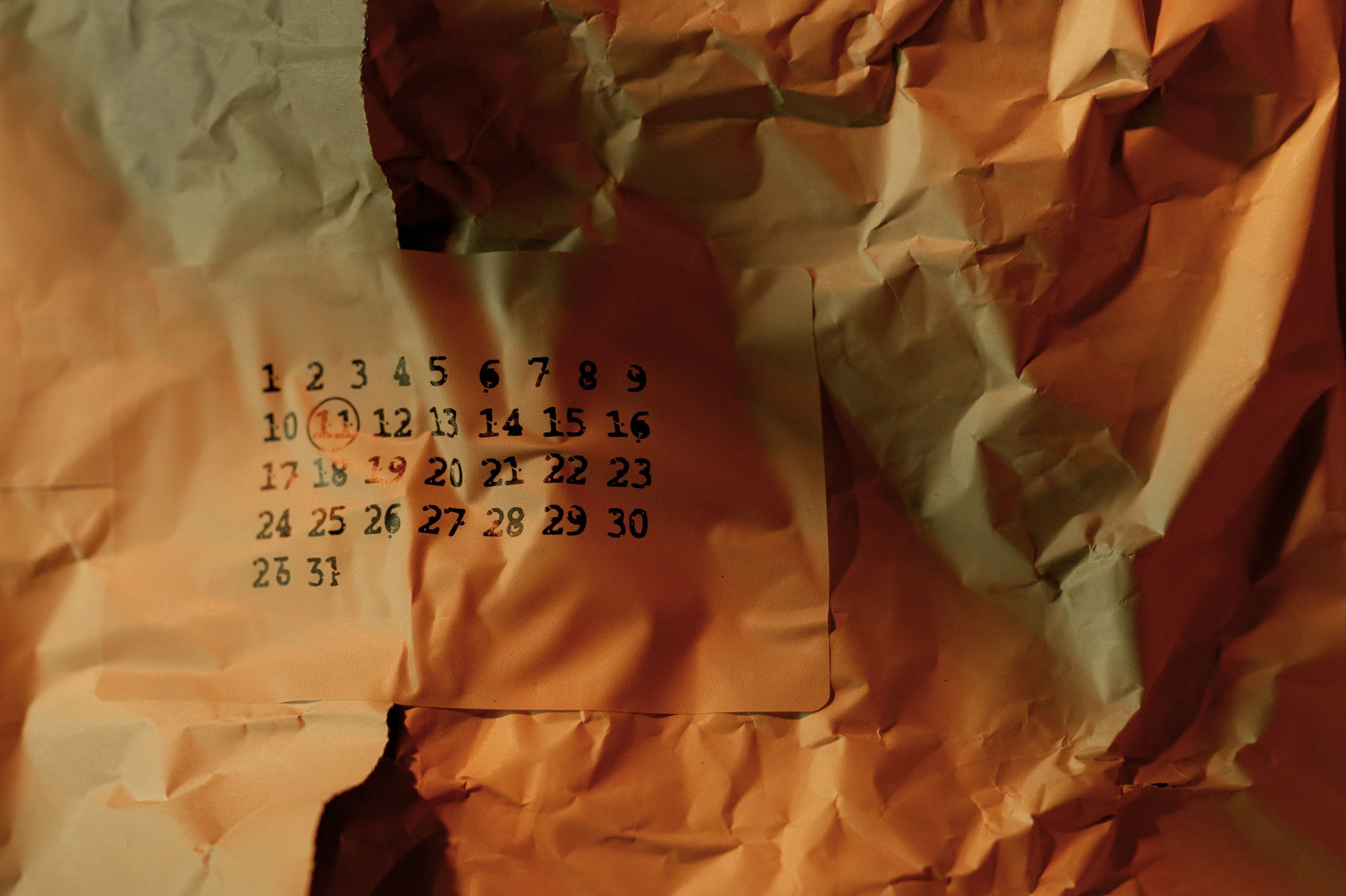 Ночь. Музей. XIII+. Алина Посторонка