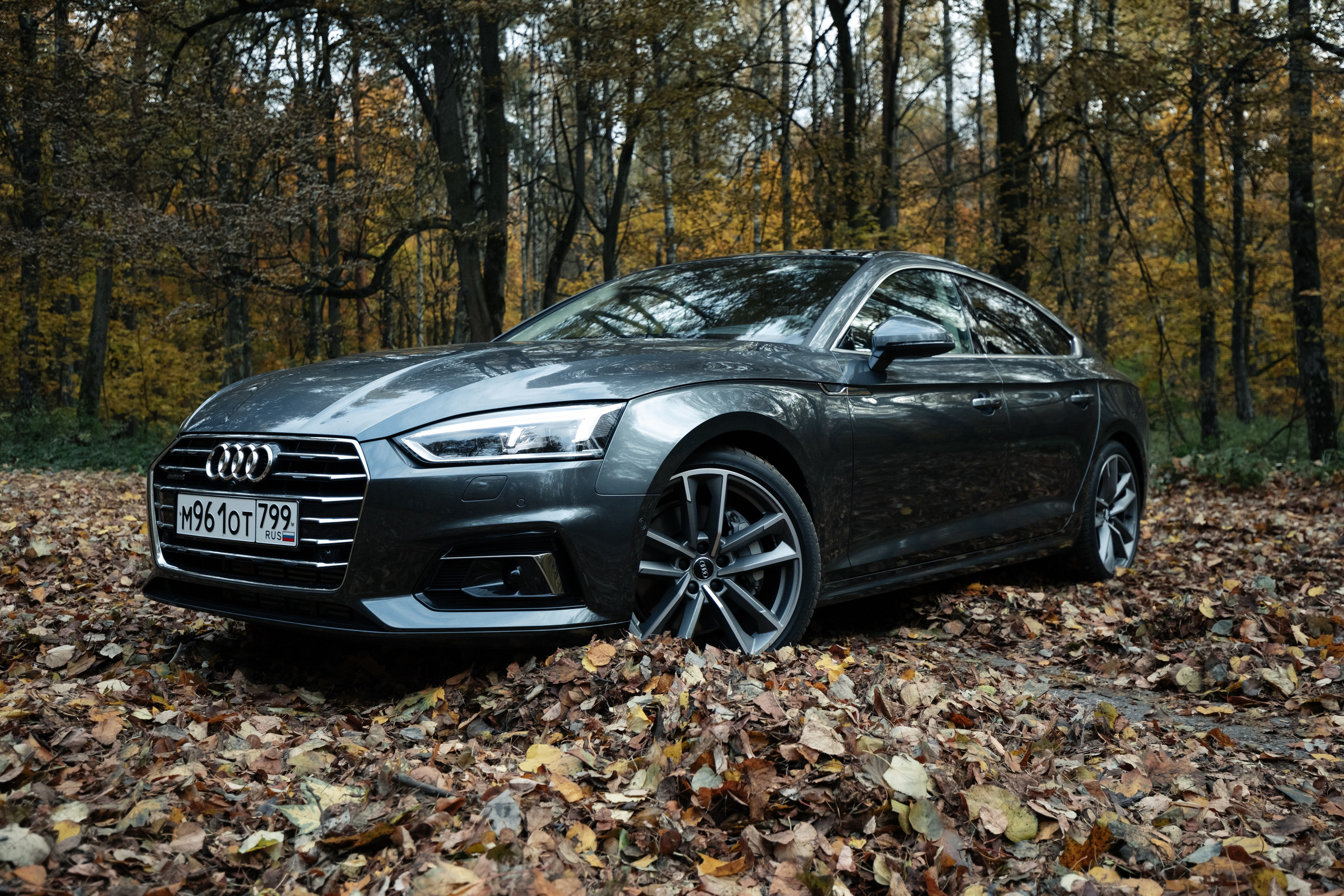 AUDI. Вадим Ветров