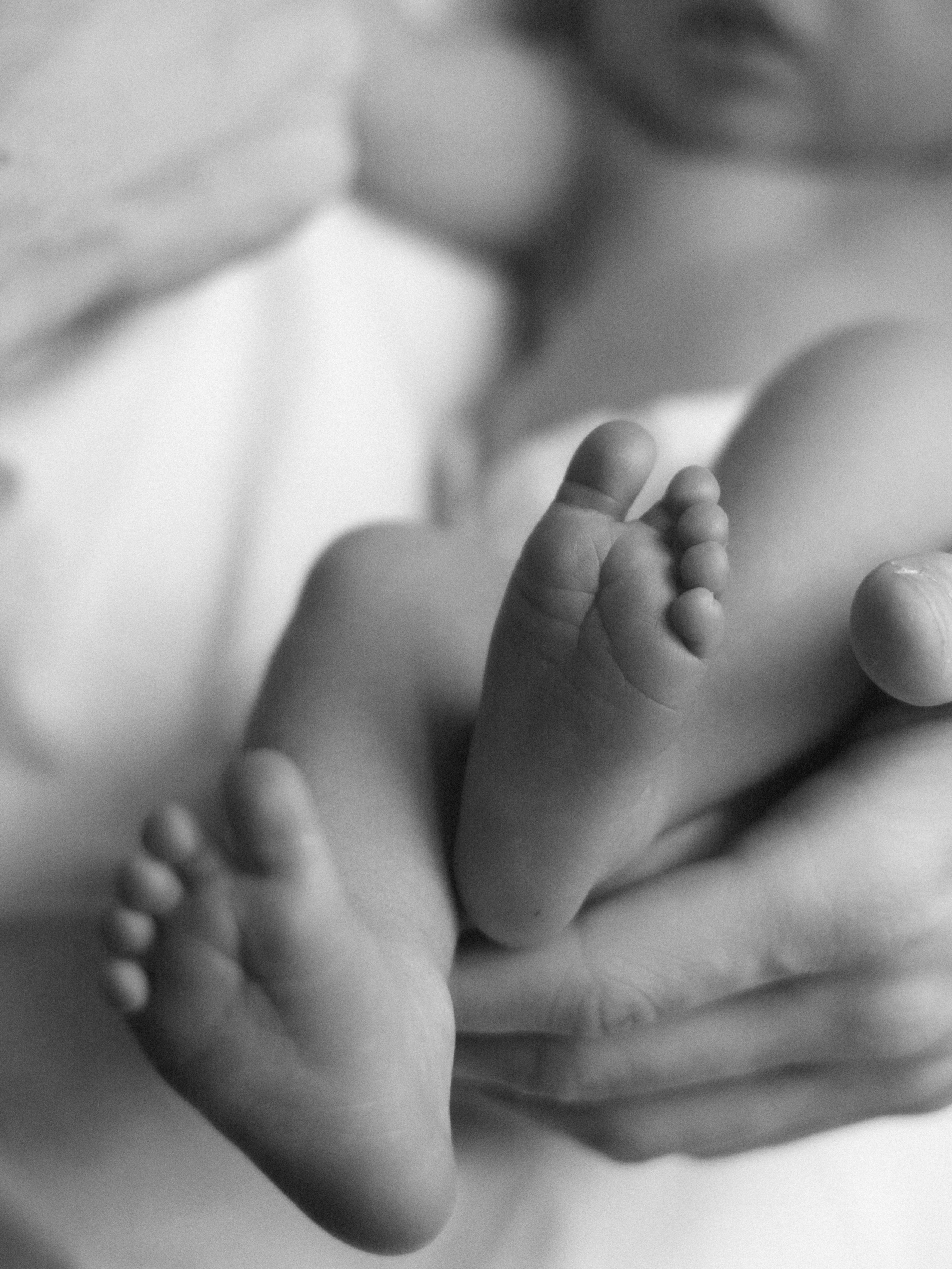 Мироша. SHILOVA PHOTO. Шилова Екатерина. Фотограф. Москва