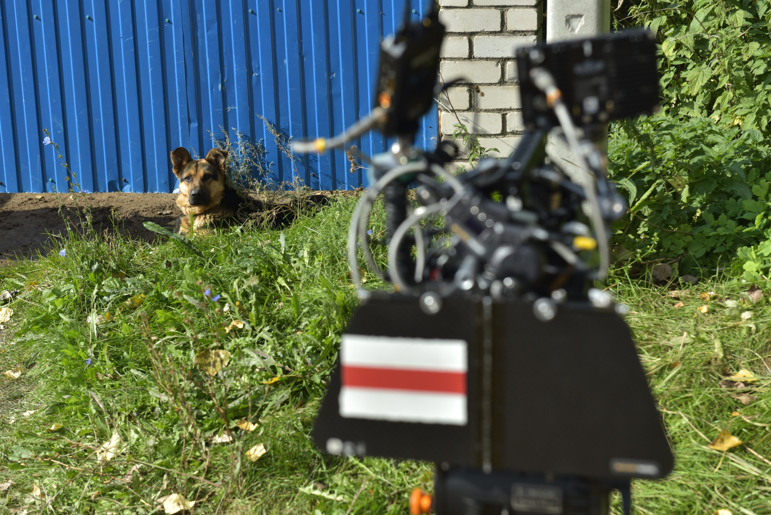 Съемки «Золотого папы». Репортажный фотограф в Москве и по всему миру Степанова Юлия