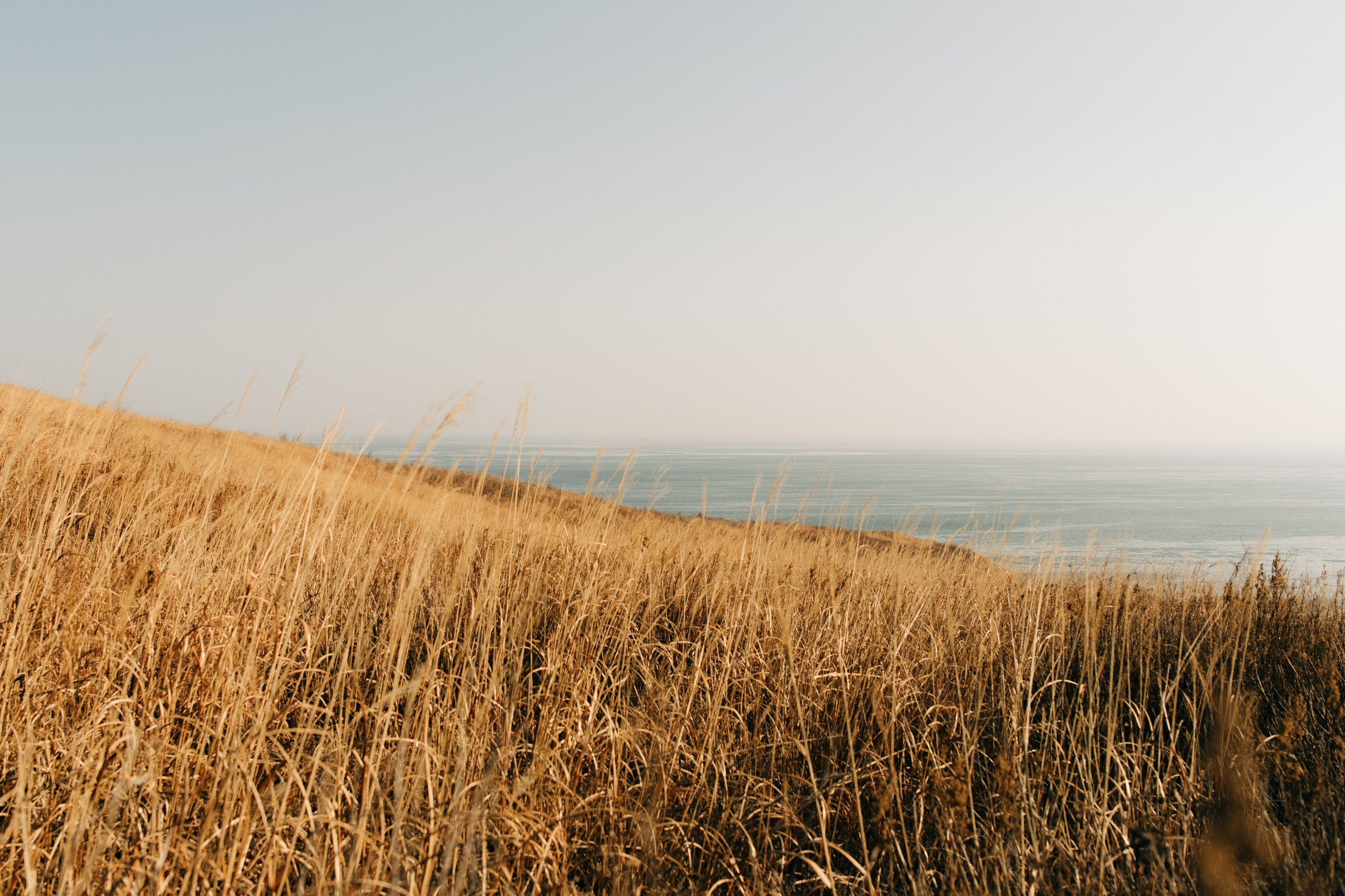 Владивосток. AThumbnails