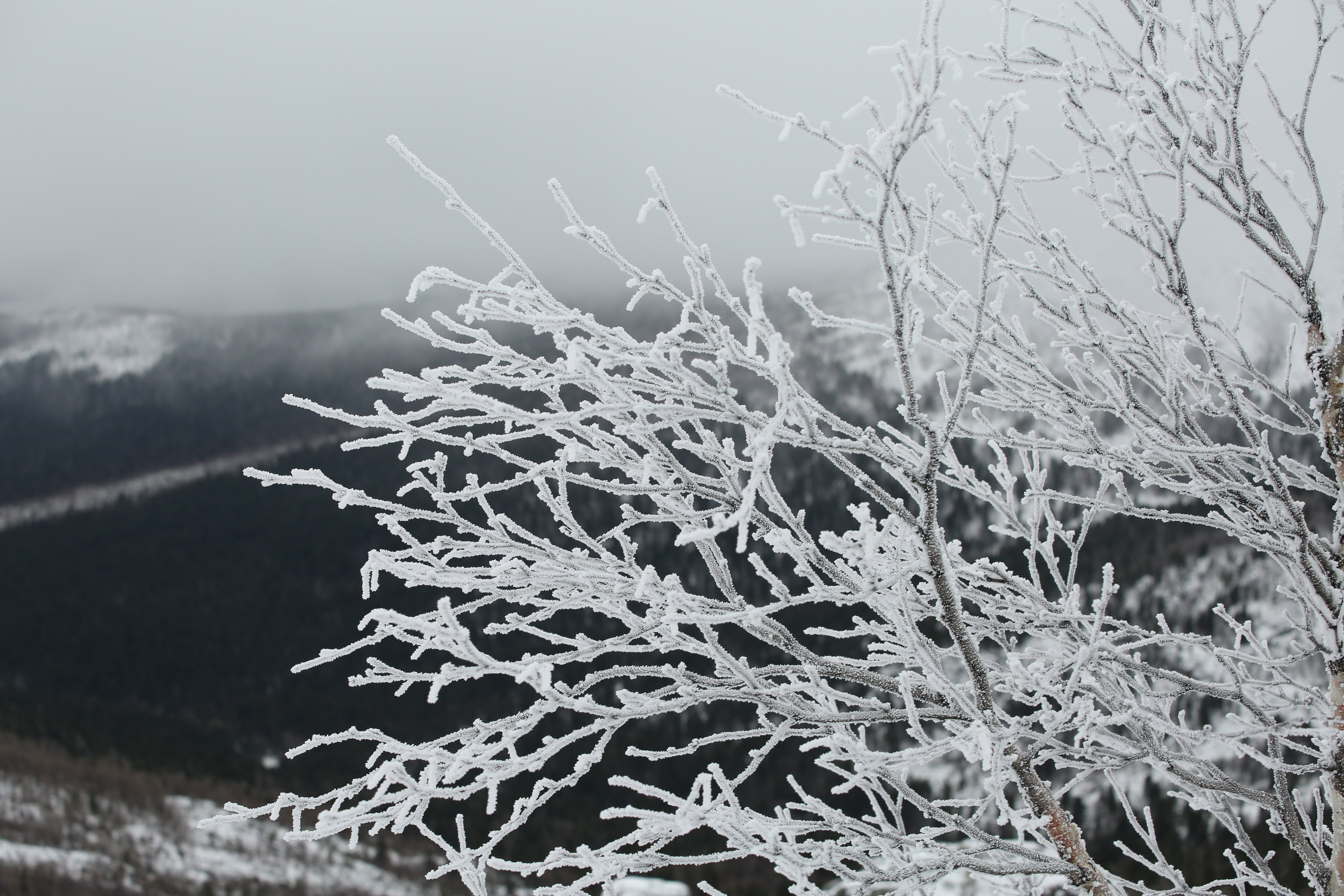 Северный Урал. Авторские туры с профессиональным фотографом