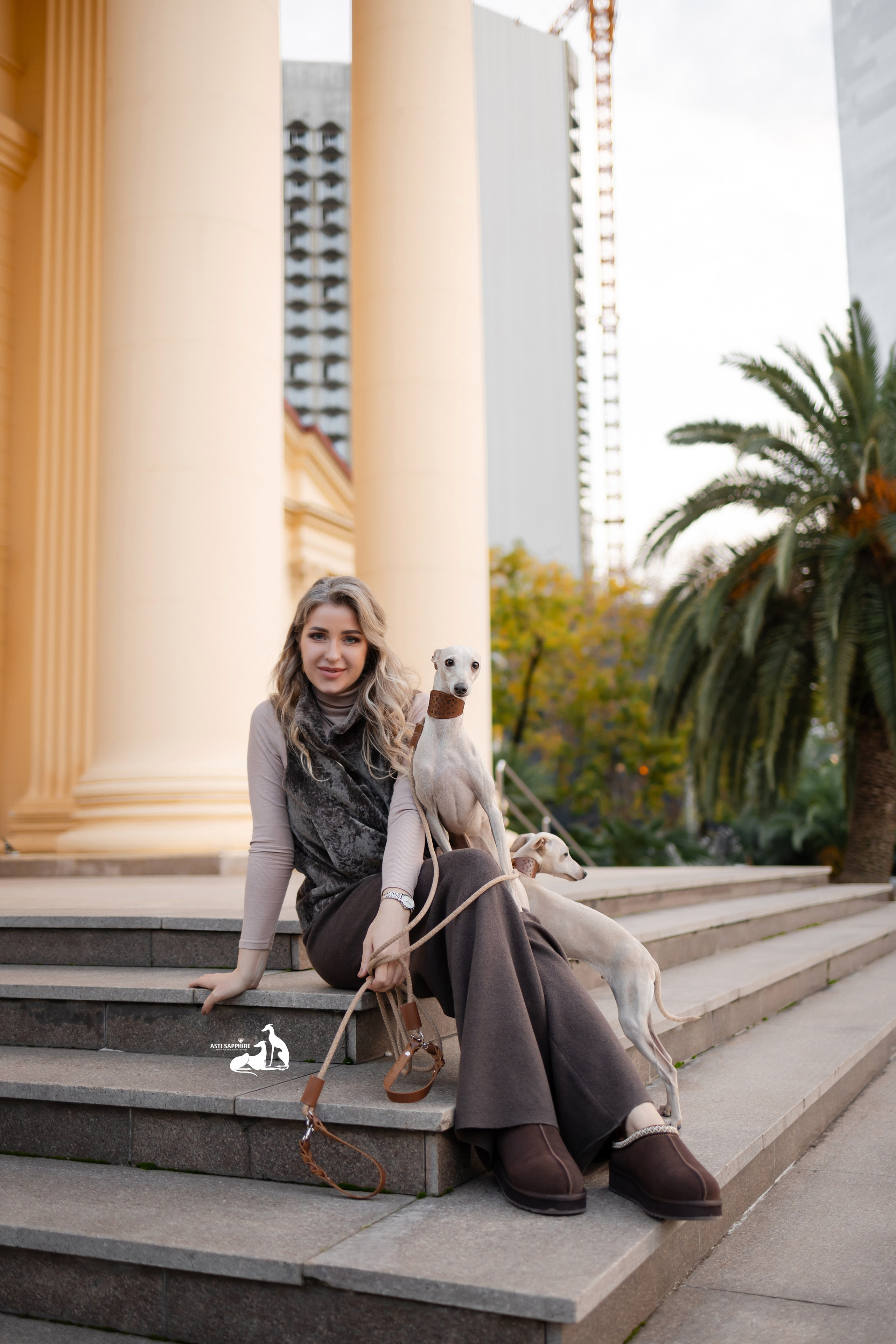 Левретки осенью. Фотограф-анималист в Краснодаре Маша Мельникова