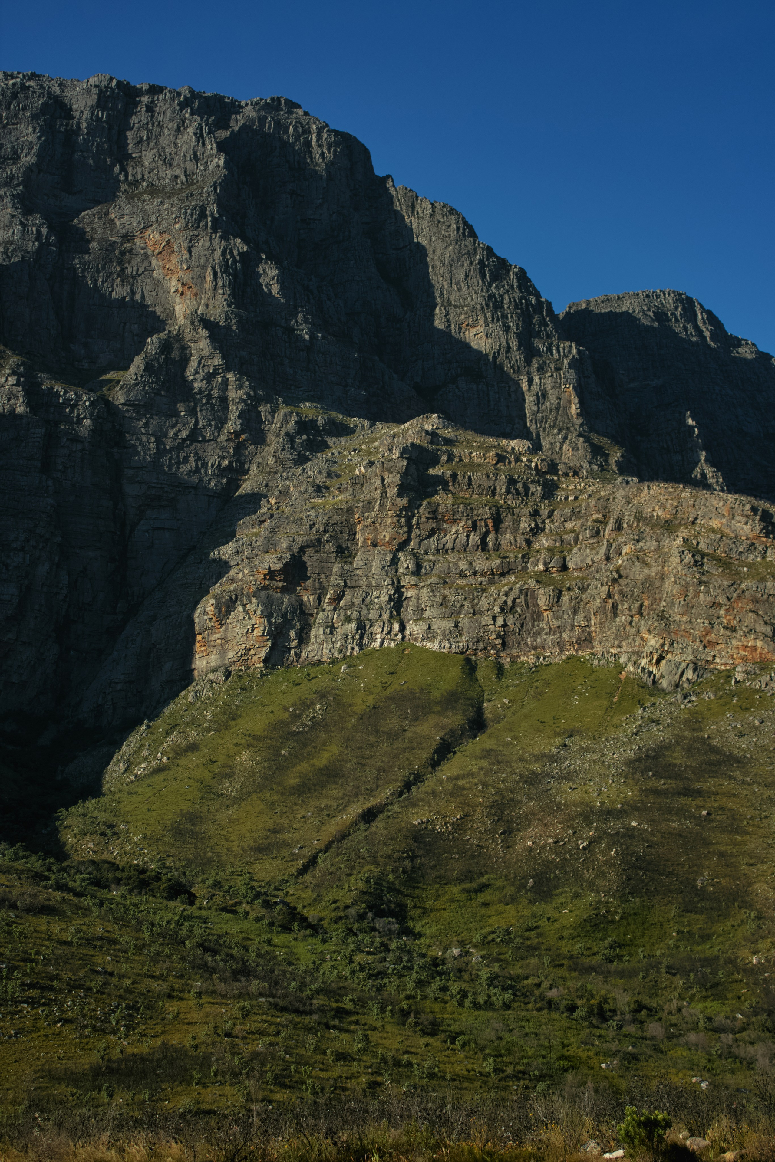 ЮАР. Профессиональный Фотограф во Владимире, в Москве и в Суздале — Полина Романычева