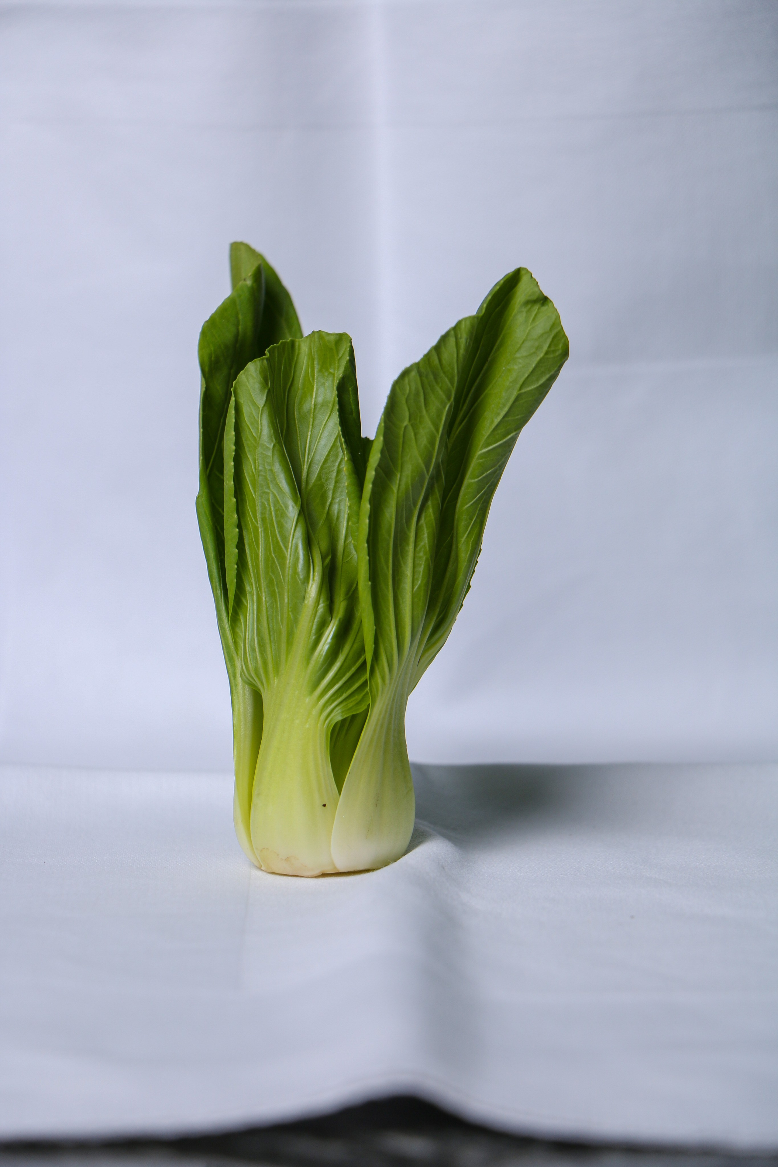 Dolce vita. Контент-фотограф Калининград АНАСТАСИЯ ТКАЧЕВА