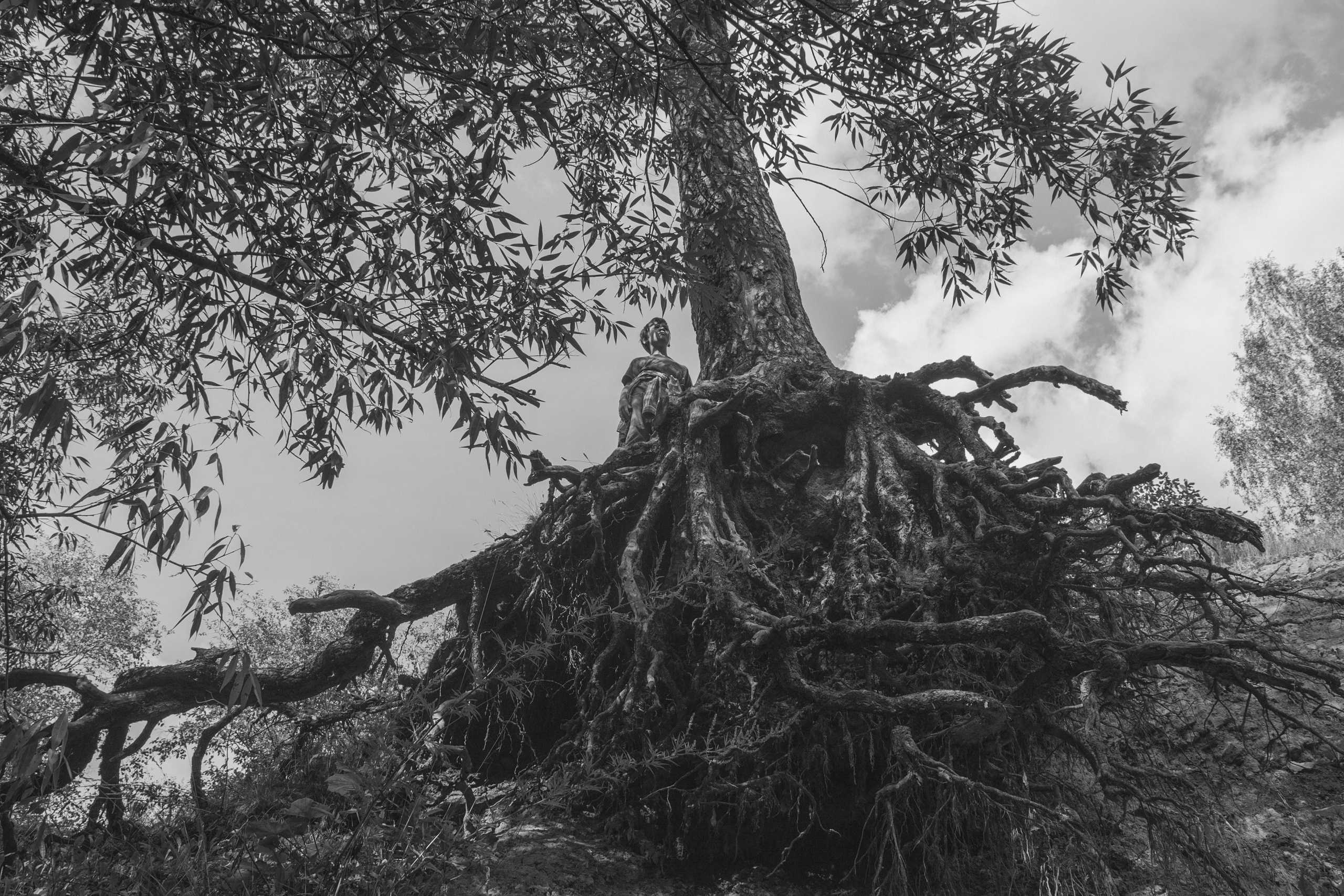 Фотограф Анна Сауэр