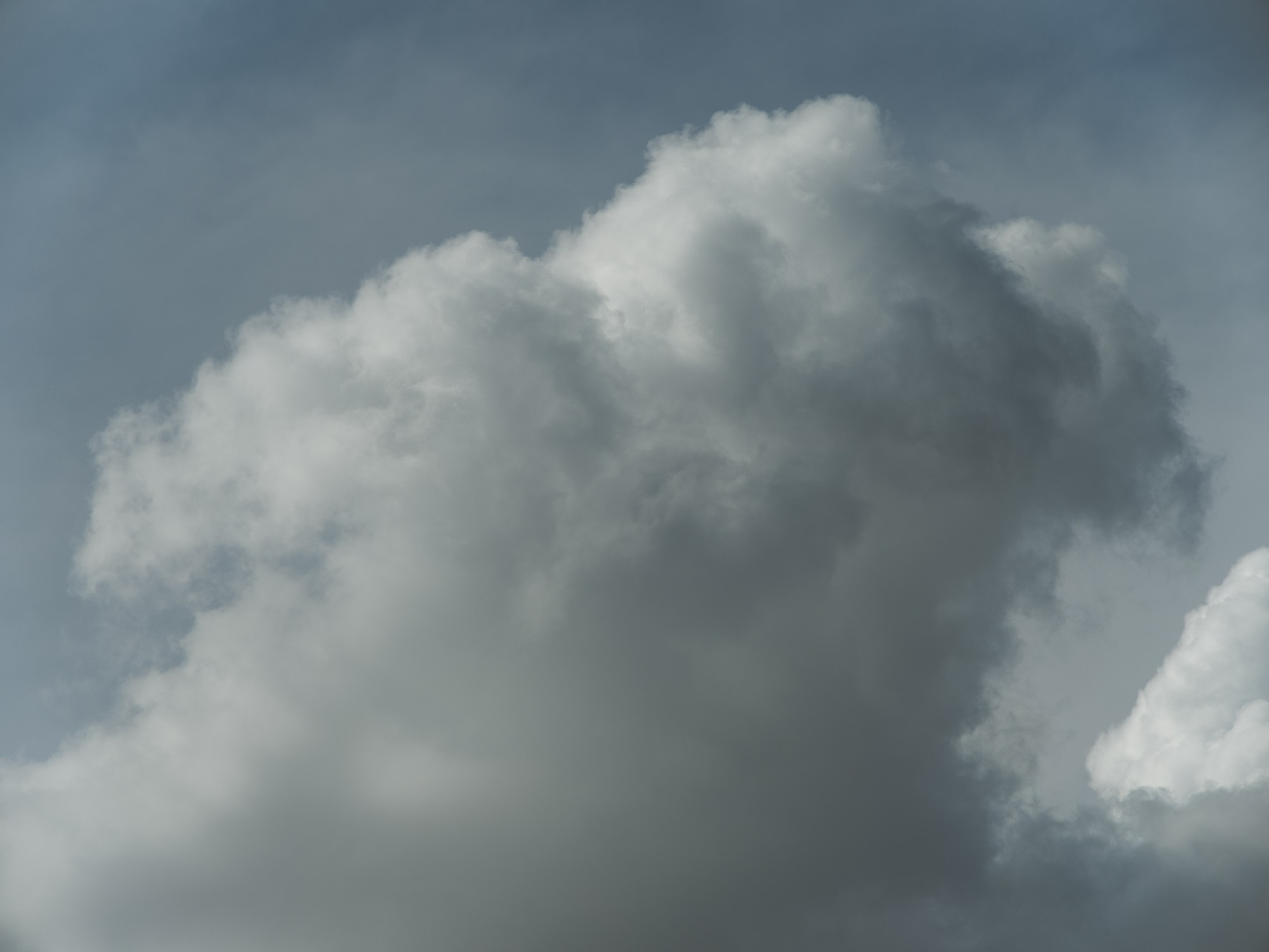 Formations. Пётр Антонов