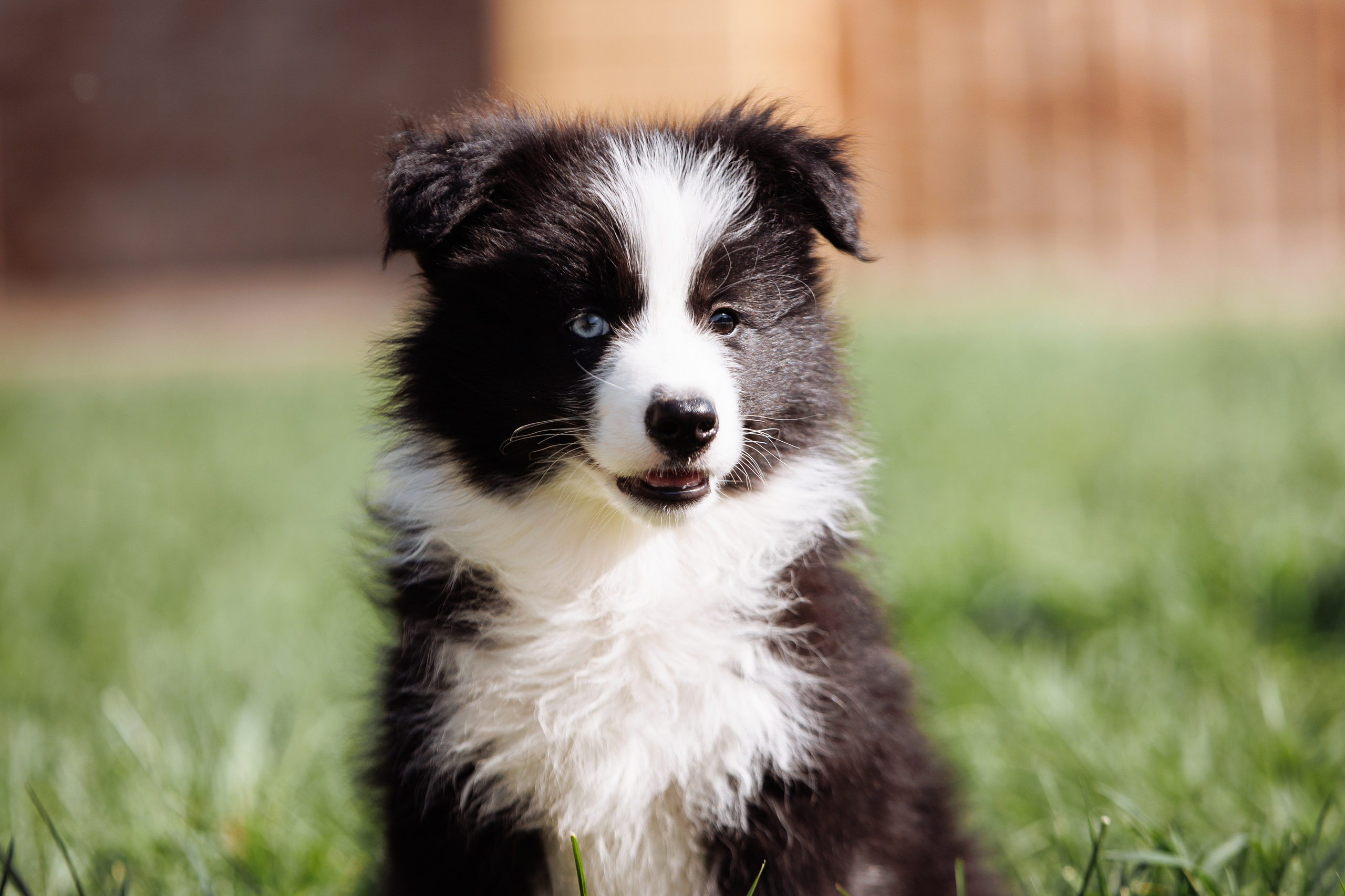 МММ — маленькое мягкое милое. О нас