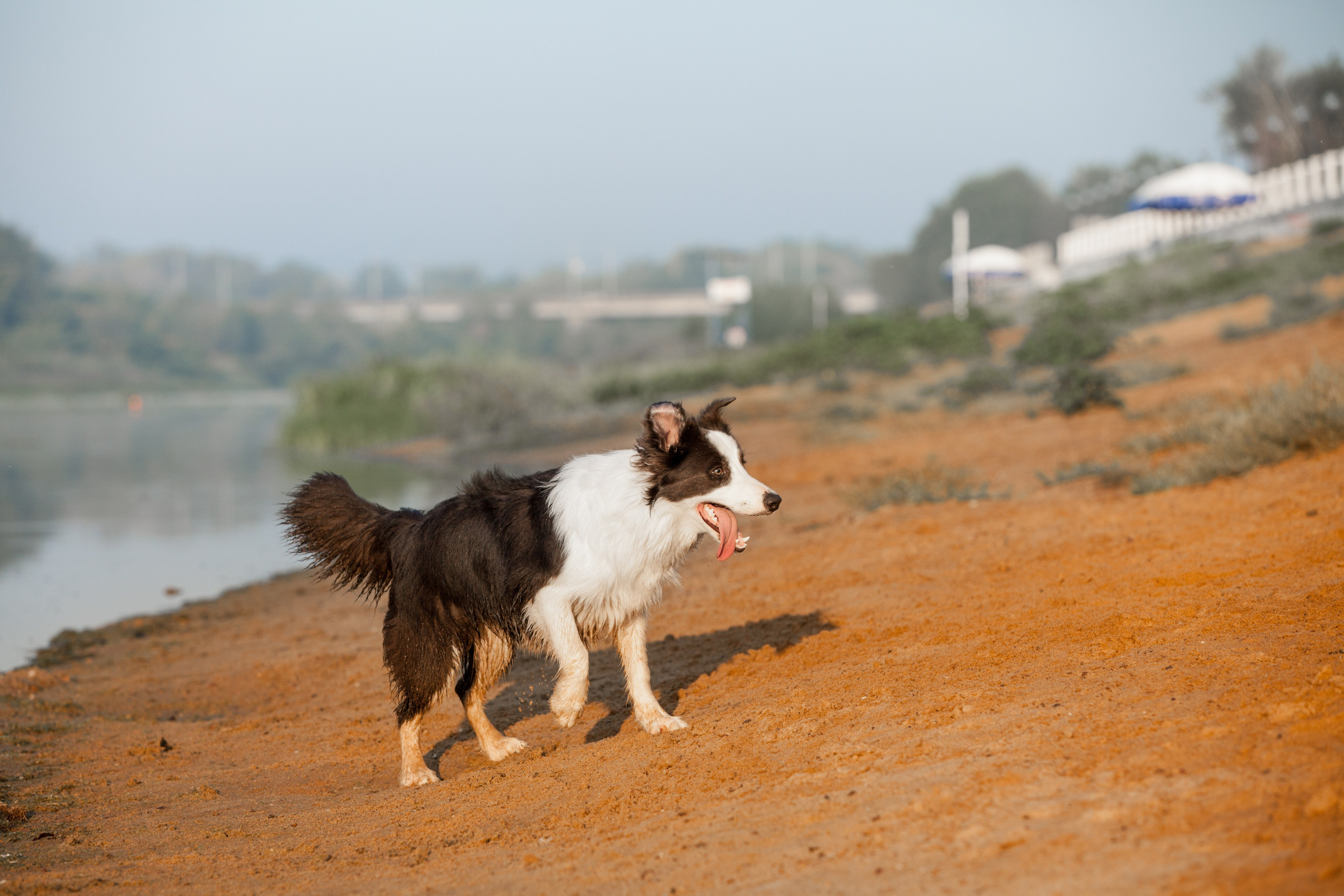 Сочный рассвет, на который решились. О нас