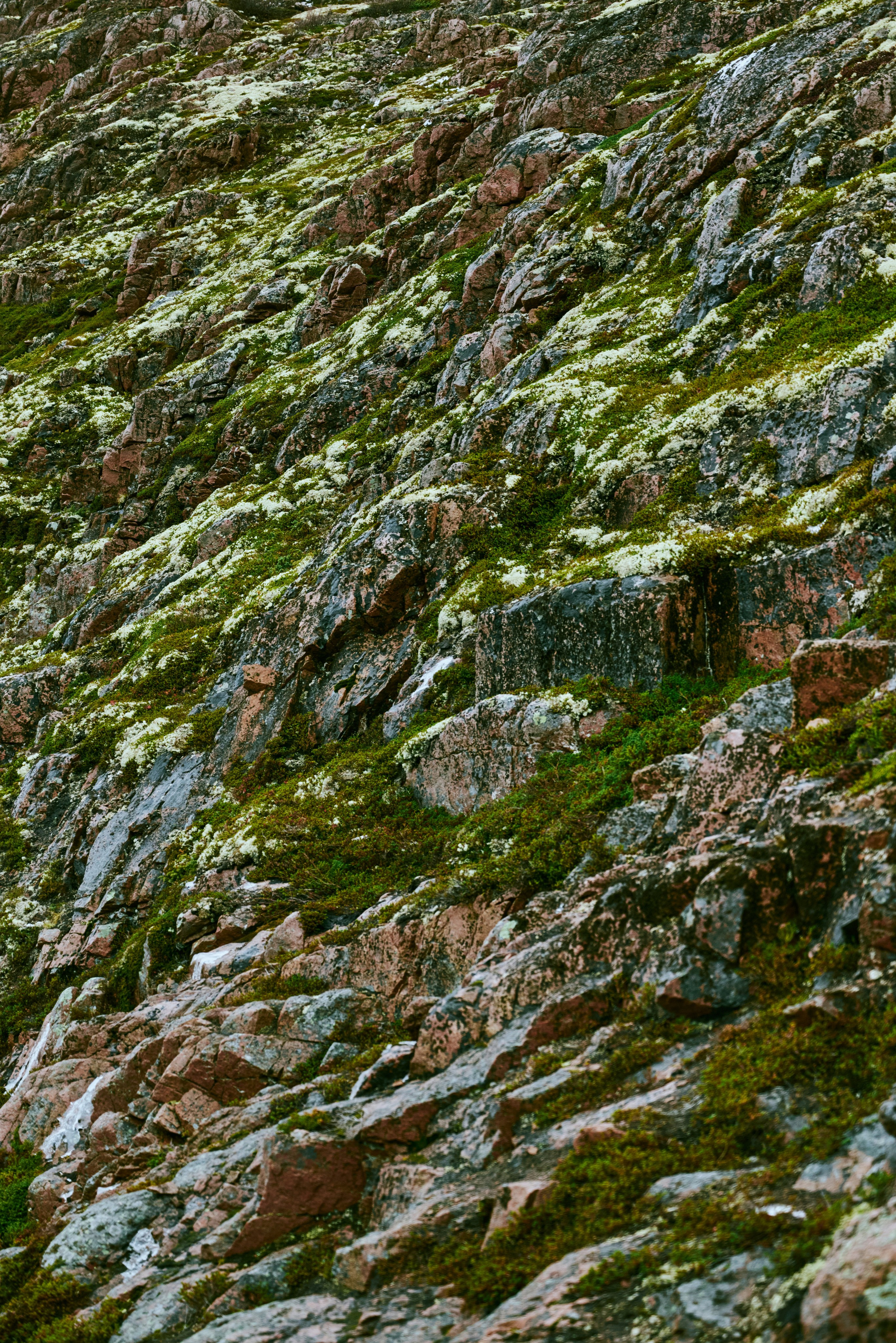 BAON x TERIBERKA. Фотограф Сурков Никита