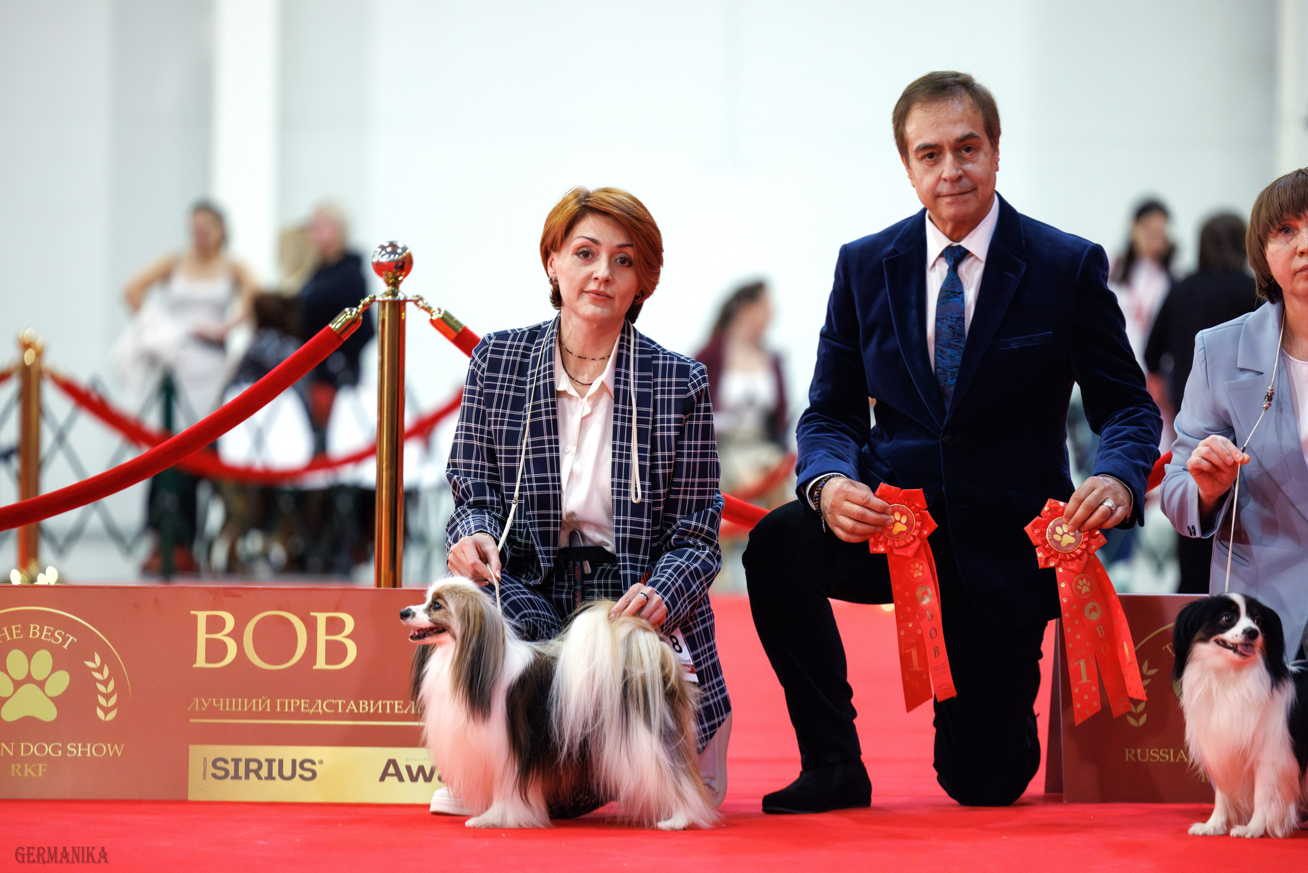 Лучшие Собаки России 17-18.02.2024. Фотограф-анималист Юлия Германика