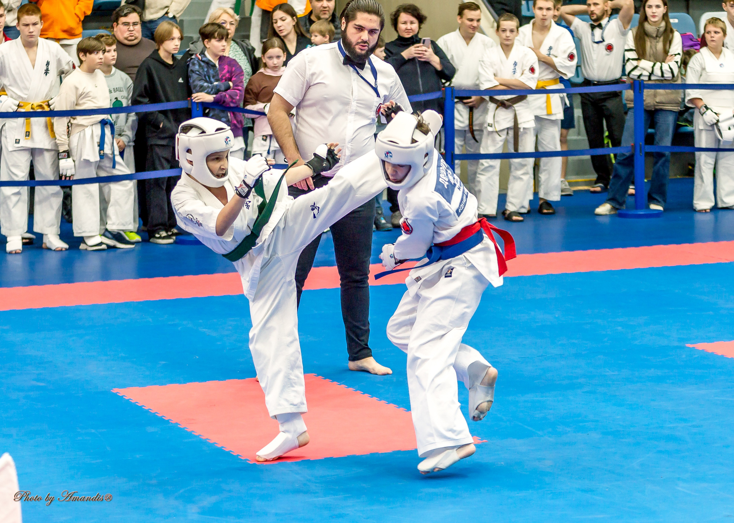 Чемпионат по Киокушинкай Центрального Федерального округа. Репортажная съемка в Москве и области. Анималистика