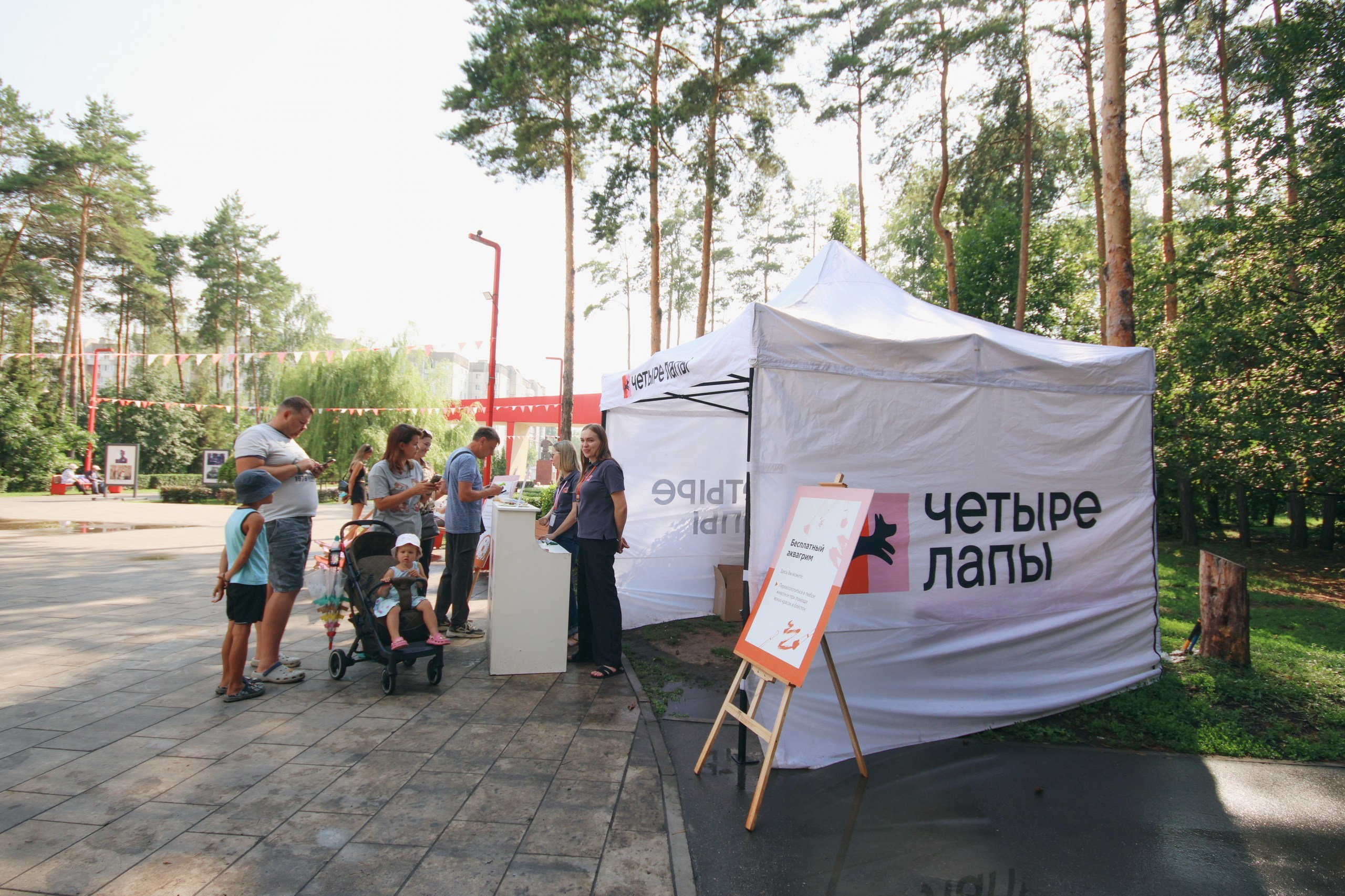 Четыре Лапы. Свадебный и репортажный фотограф Дмитрий Кононенко