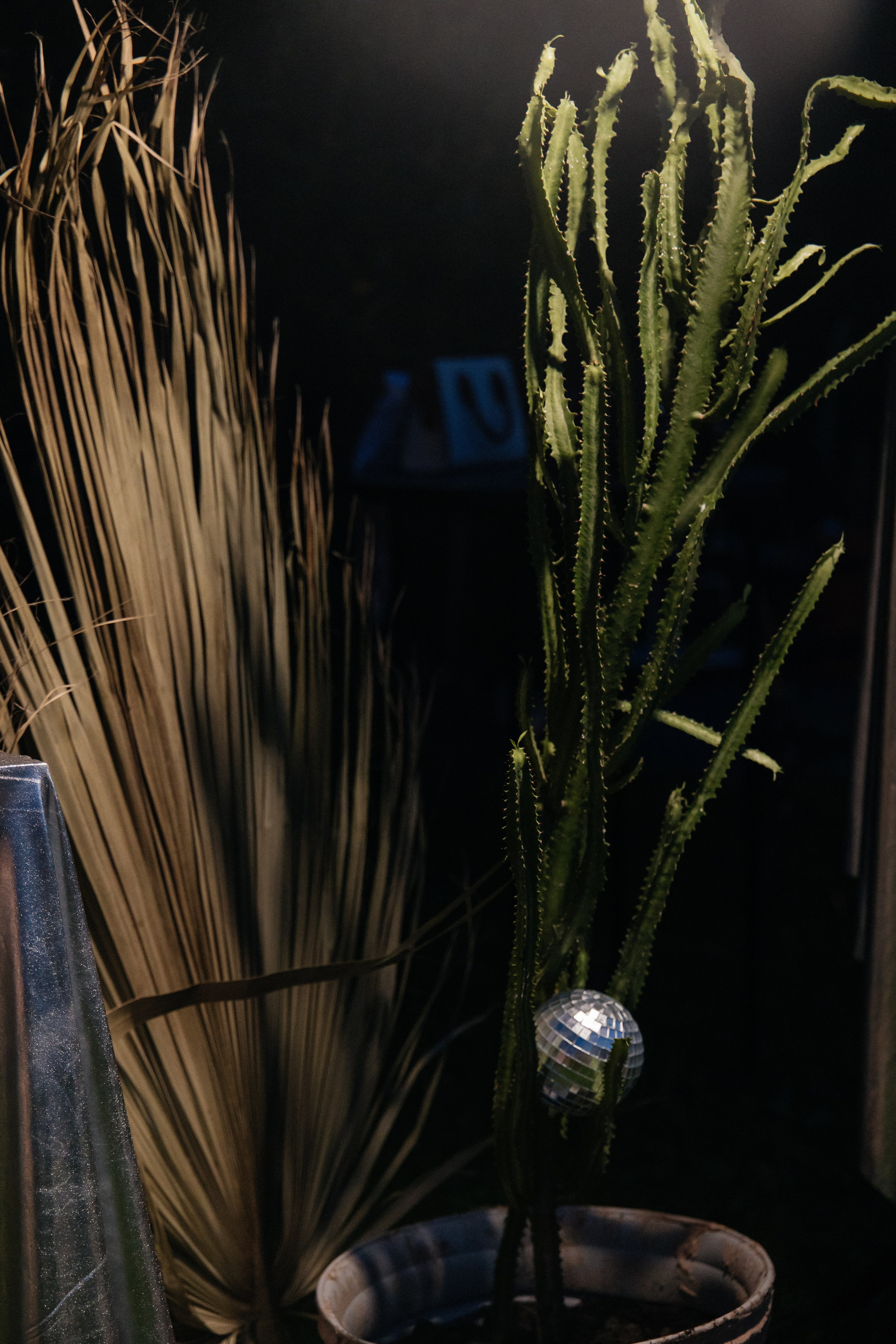 Артем и Дарья. Свадебный фотограф в Красноярске