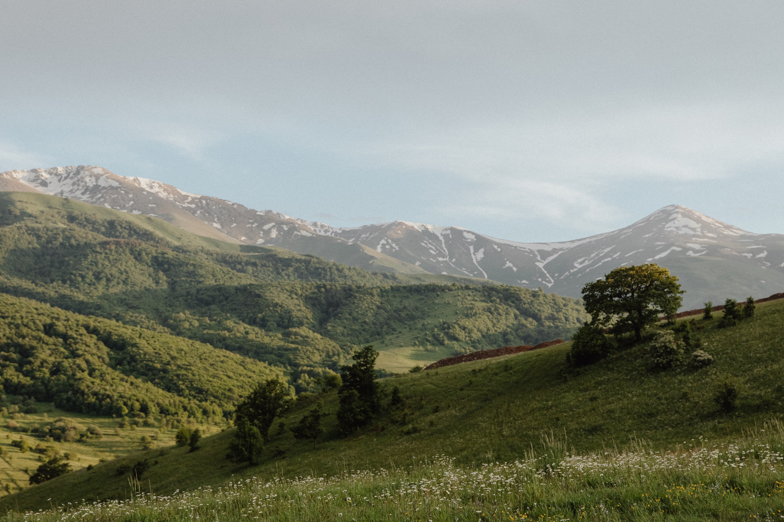 Дилижан. Армения. Свадебный фотограф Анастасия Пальчикова