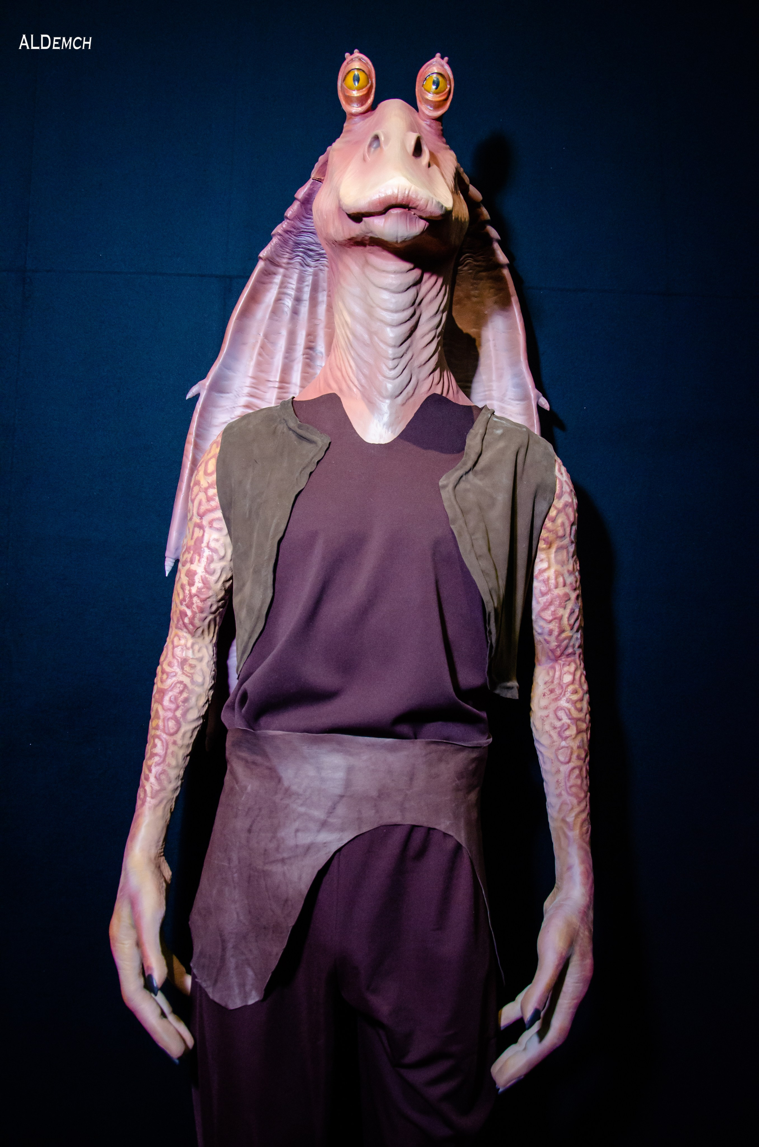 Фотосессия на ВДНХ косплей выставки по звёздным войнам