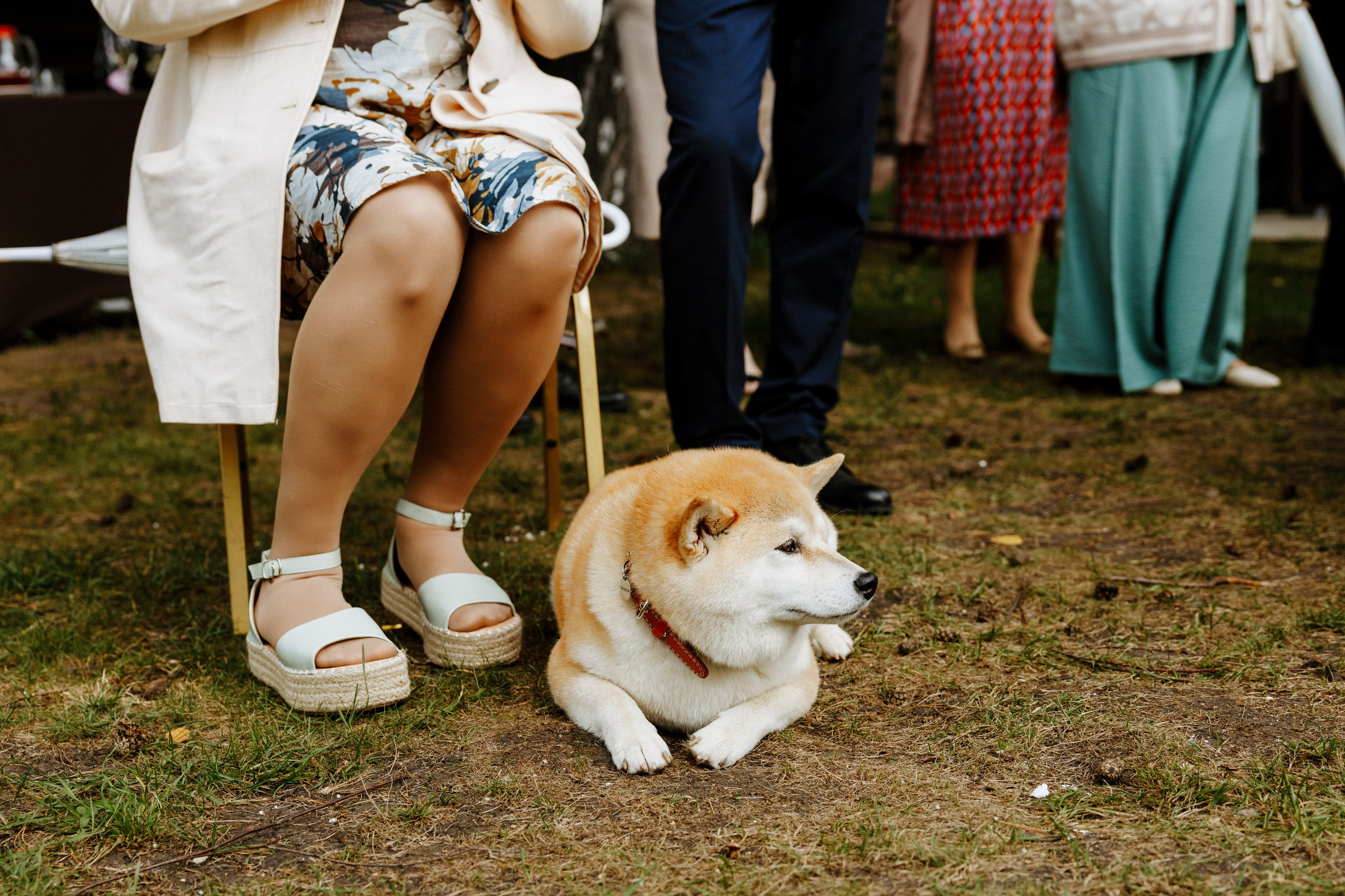 Павел и Ксения. Гринвальд. Свадебный фотограф Балчугова Мария Екатеринбург