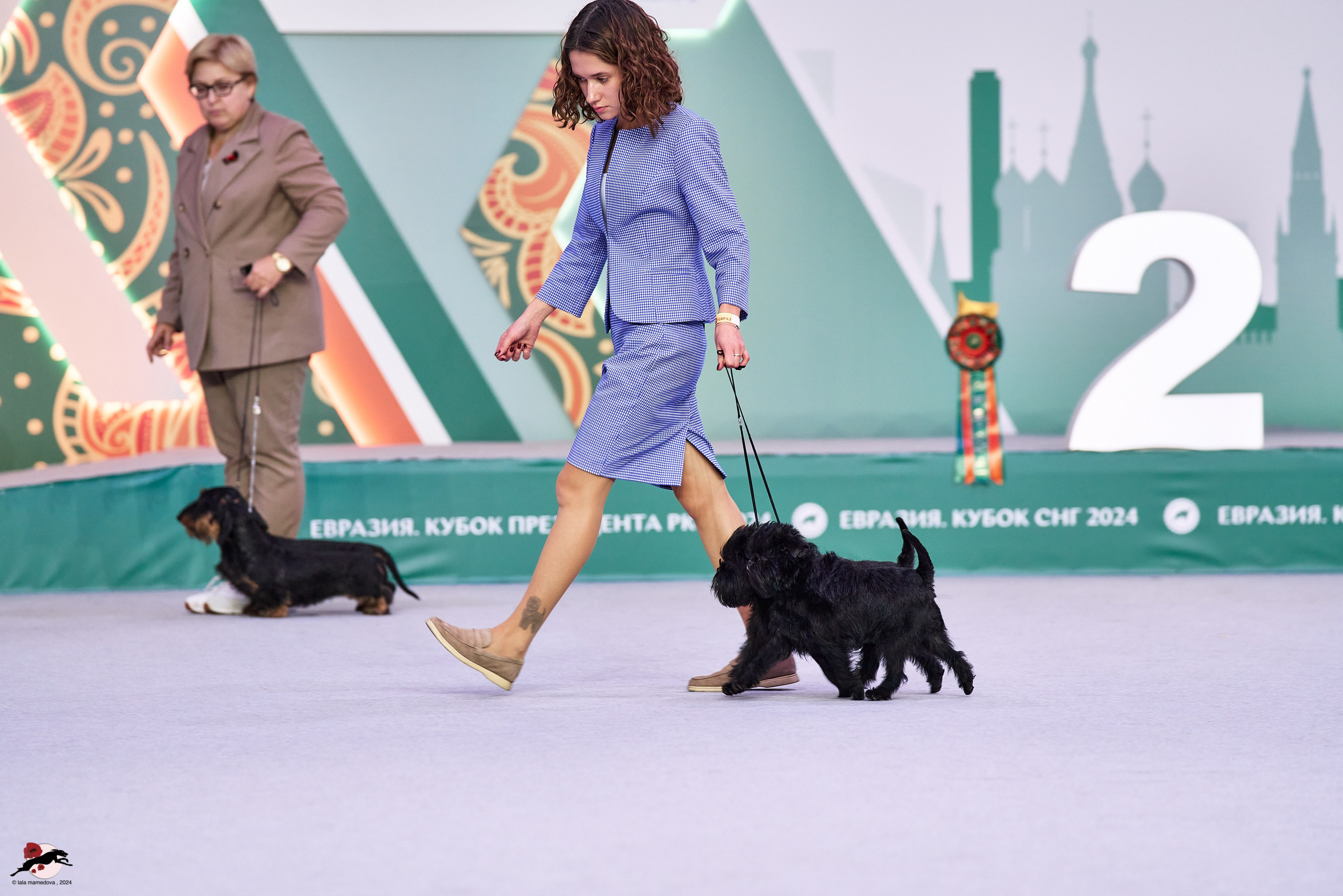 17.11.2024 «ЕВРАЗИЯ. КУБОК СНГ 2024»