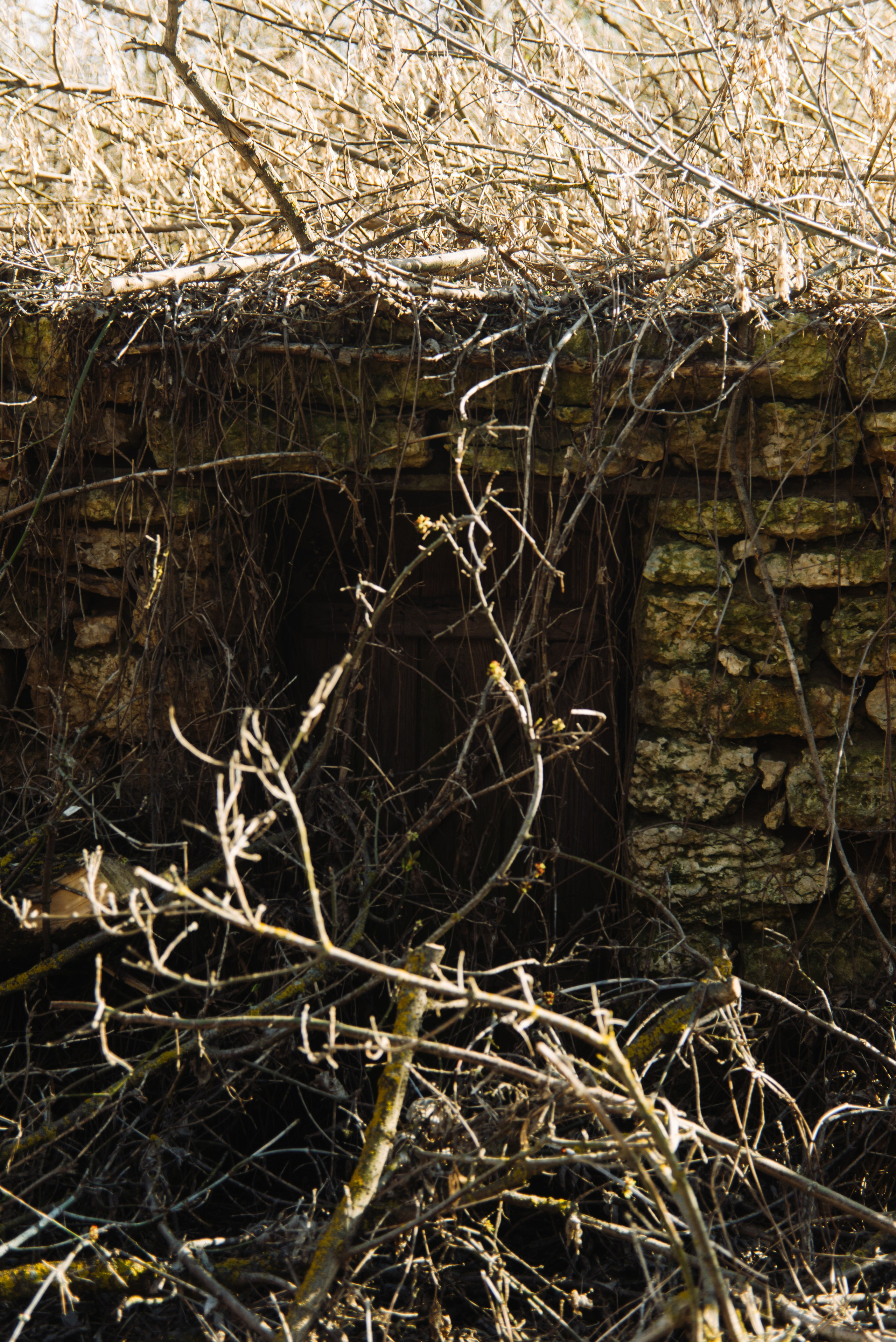 Орановка. Репортажный и портретный фотограф в Липецкой, Воронежской, Московской области Тёма Белоусов