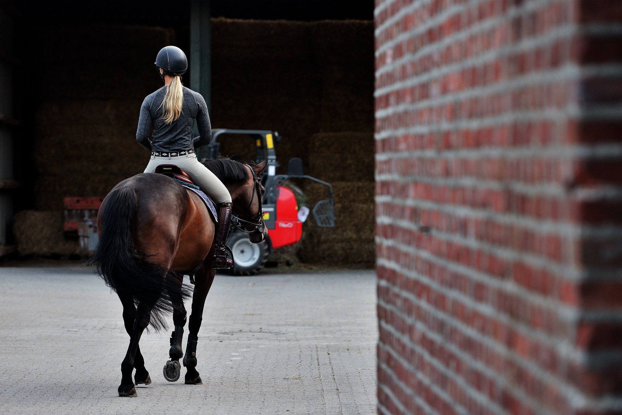 Конные клубы. Конный фотограф Alesya Safe