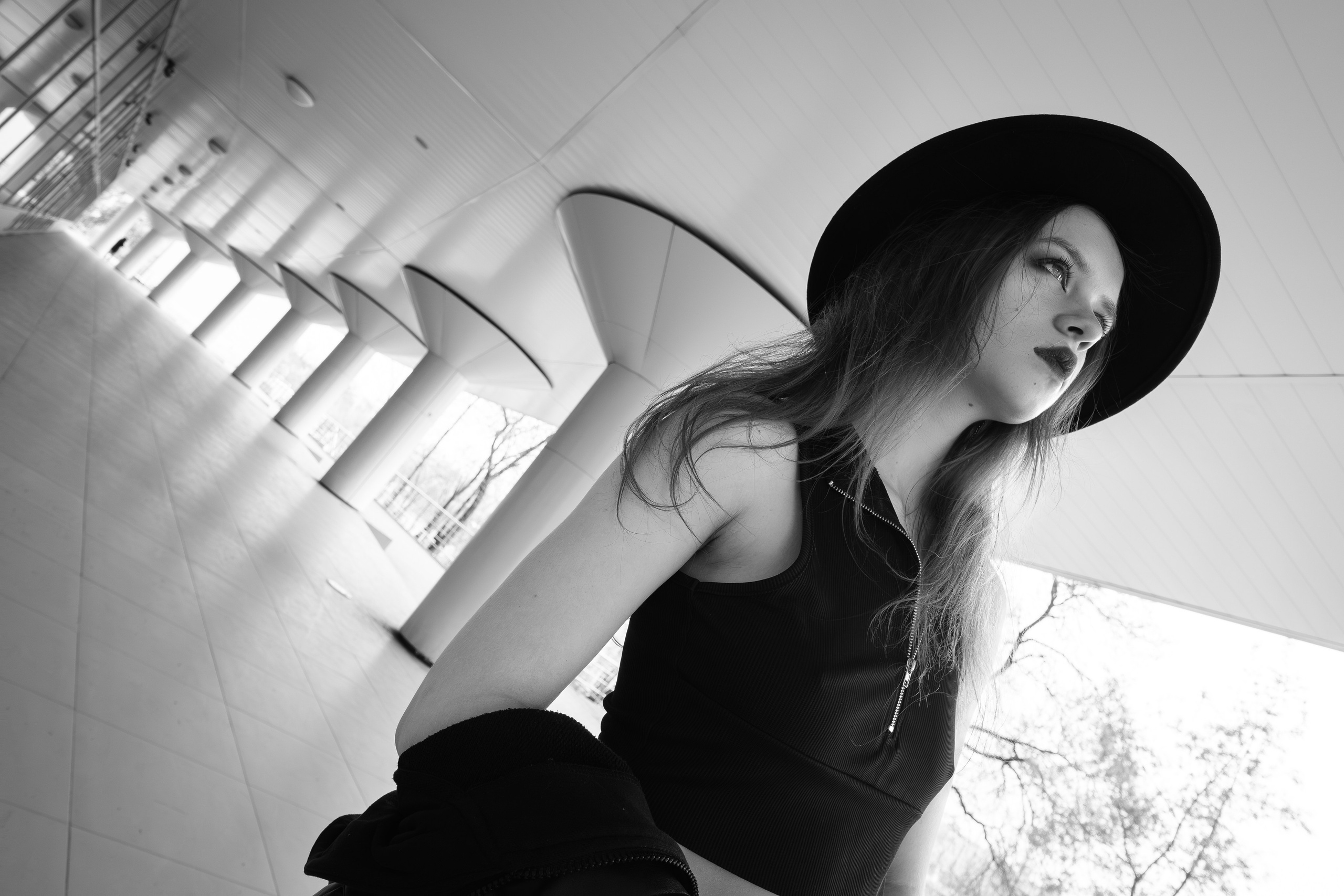 The grotesque. Aleksandr Schafft