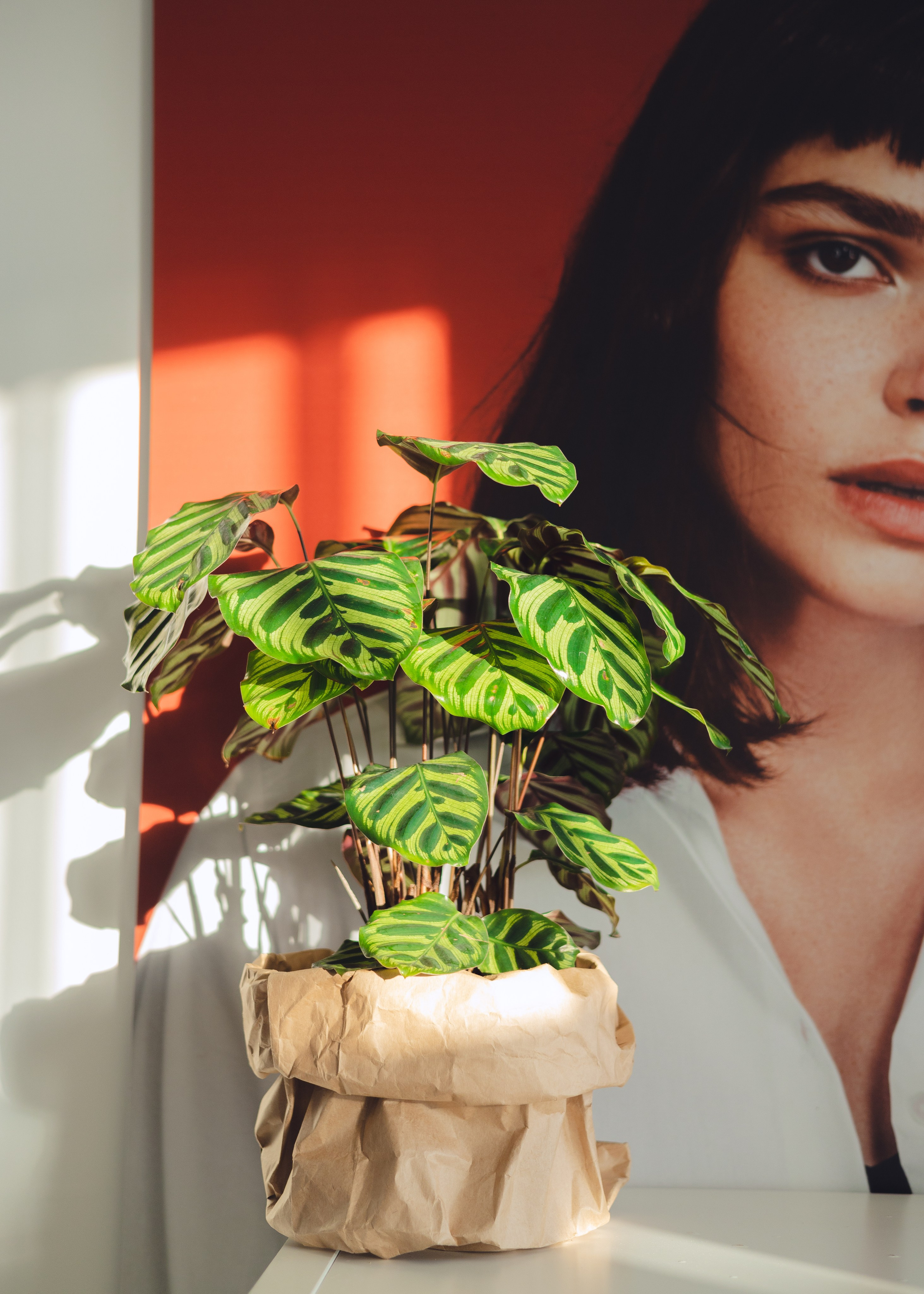 Предметная съемка для бизнеса. Фотограф в Санкт-Петербурге Осокина Елизавета